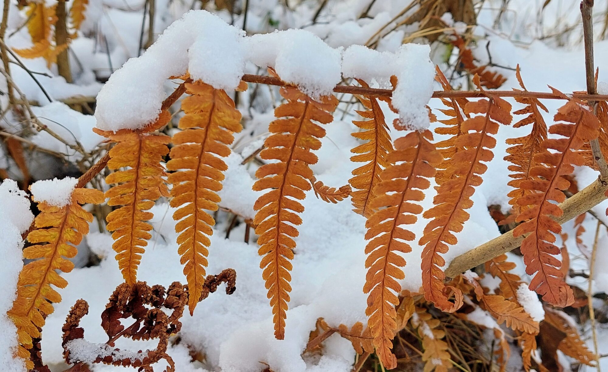Valokuvaaja: Tarja Naukkarinen
