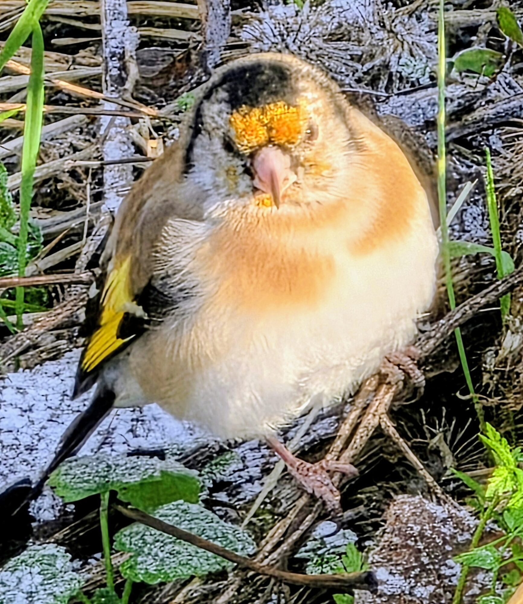 Valokuvaaja: Jukka Veijola