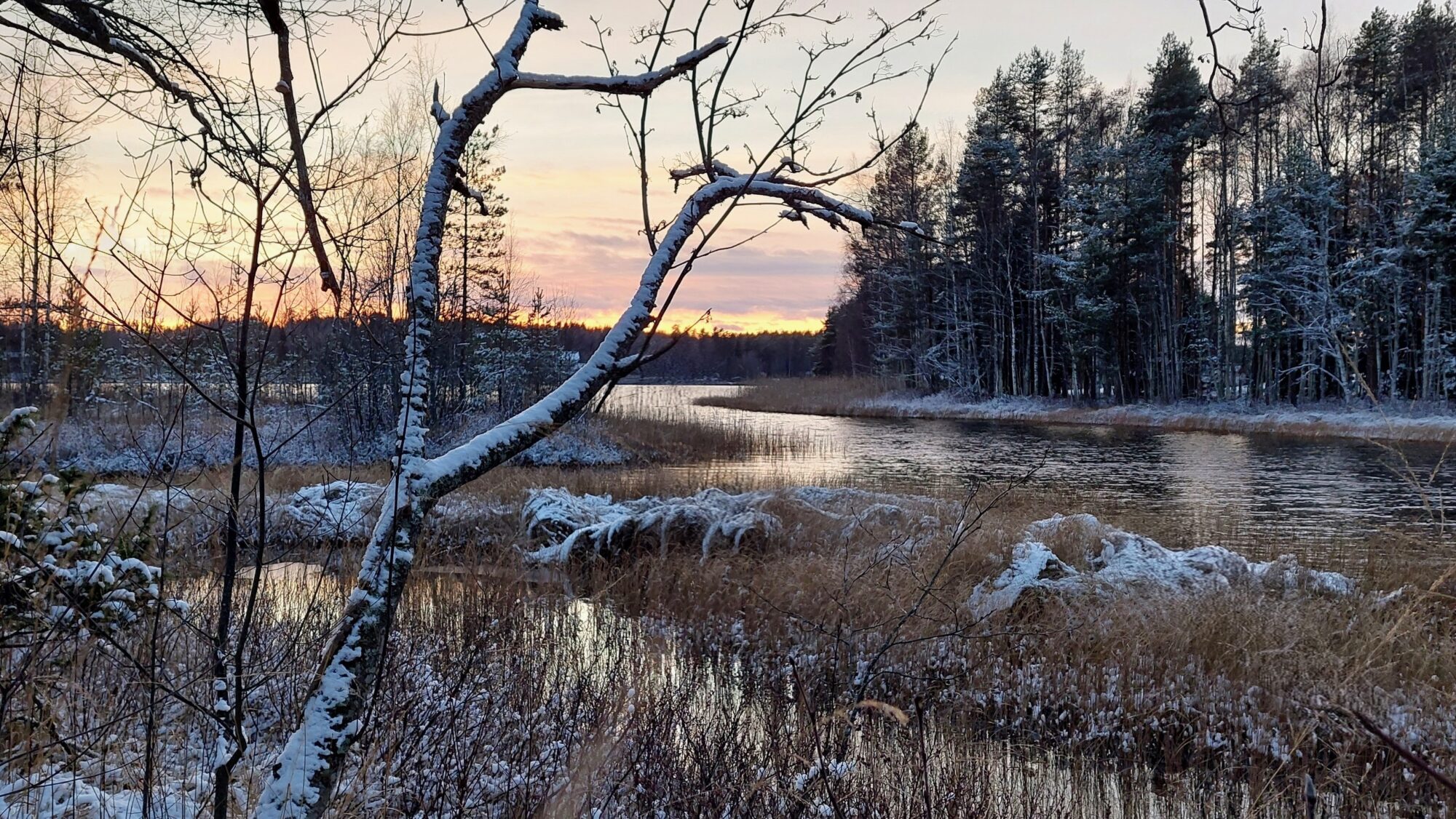 Valokuvaaja: Tarja Naukkarinen