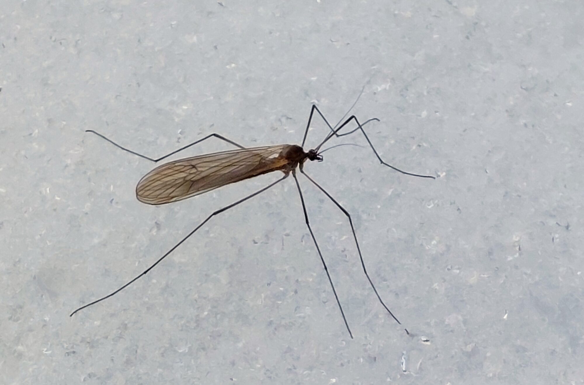 Valokuvaaja: Tarja Naukkarinen