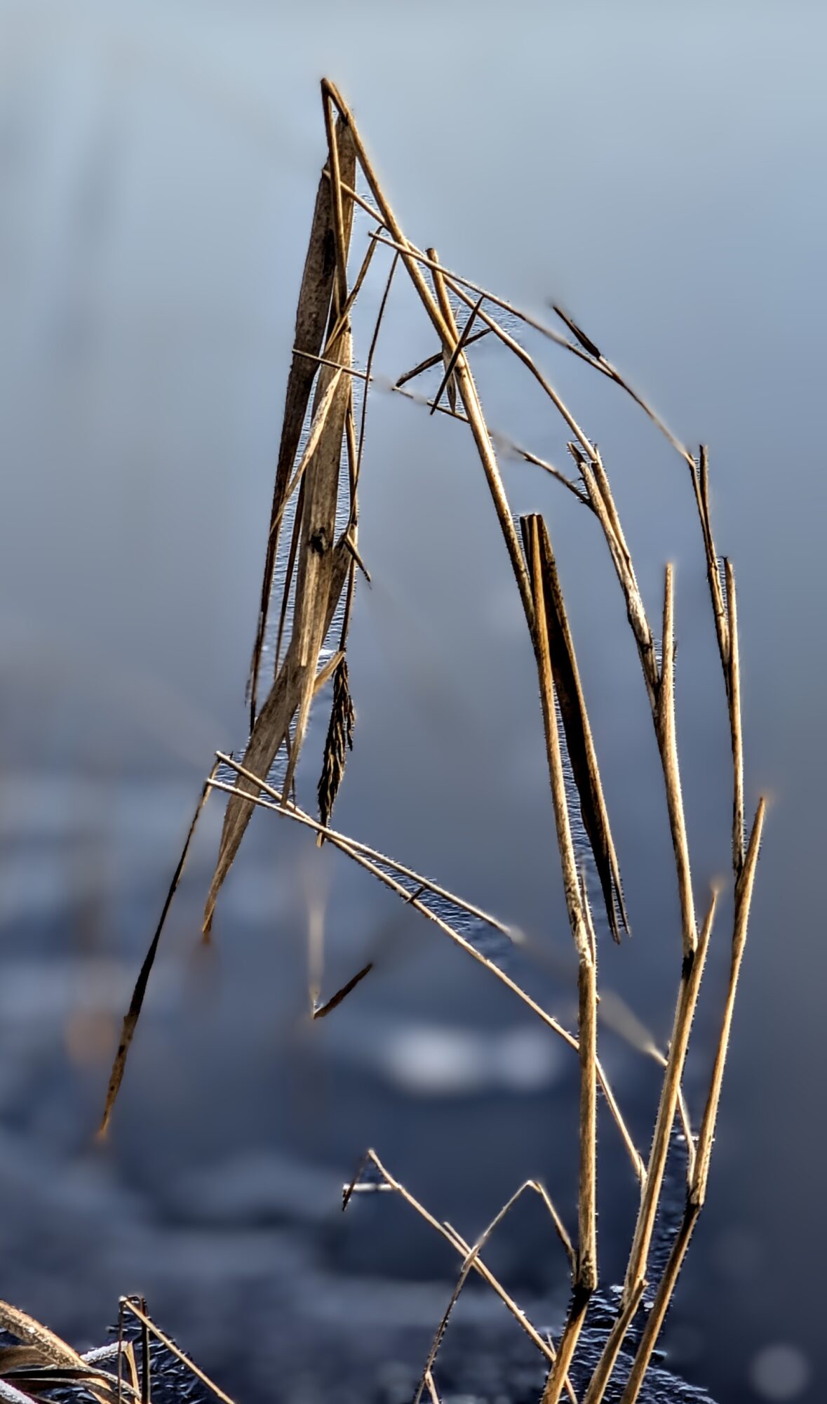 Valokuvaaja: Jukka Veijola