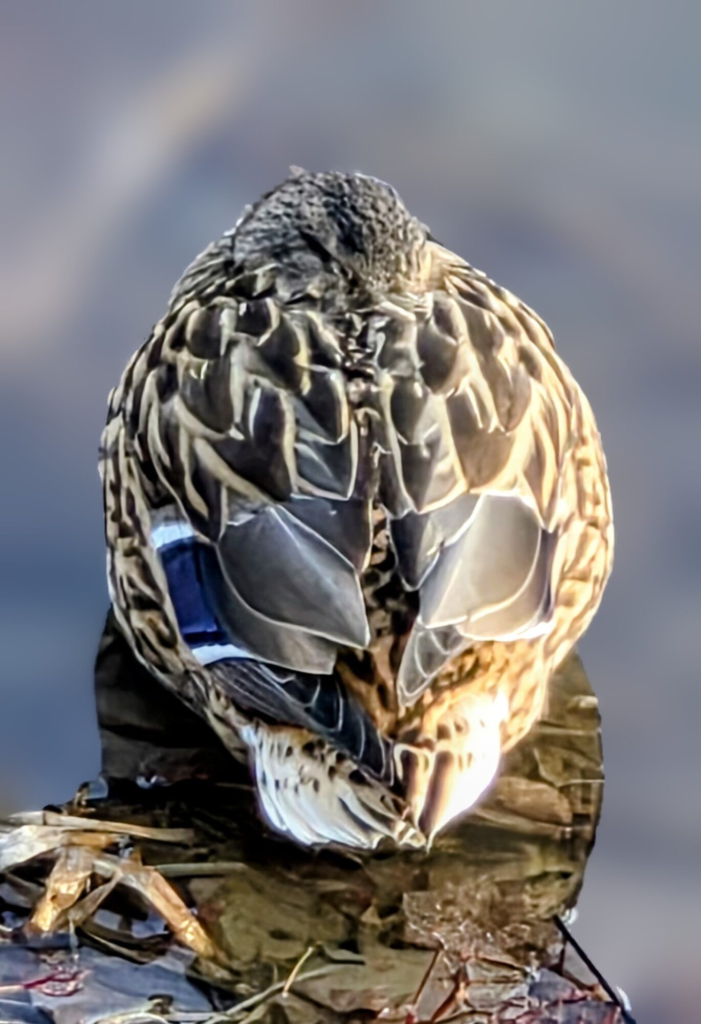 Valokuvaaja: Jukka Veijola