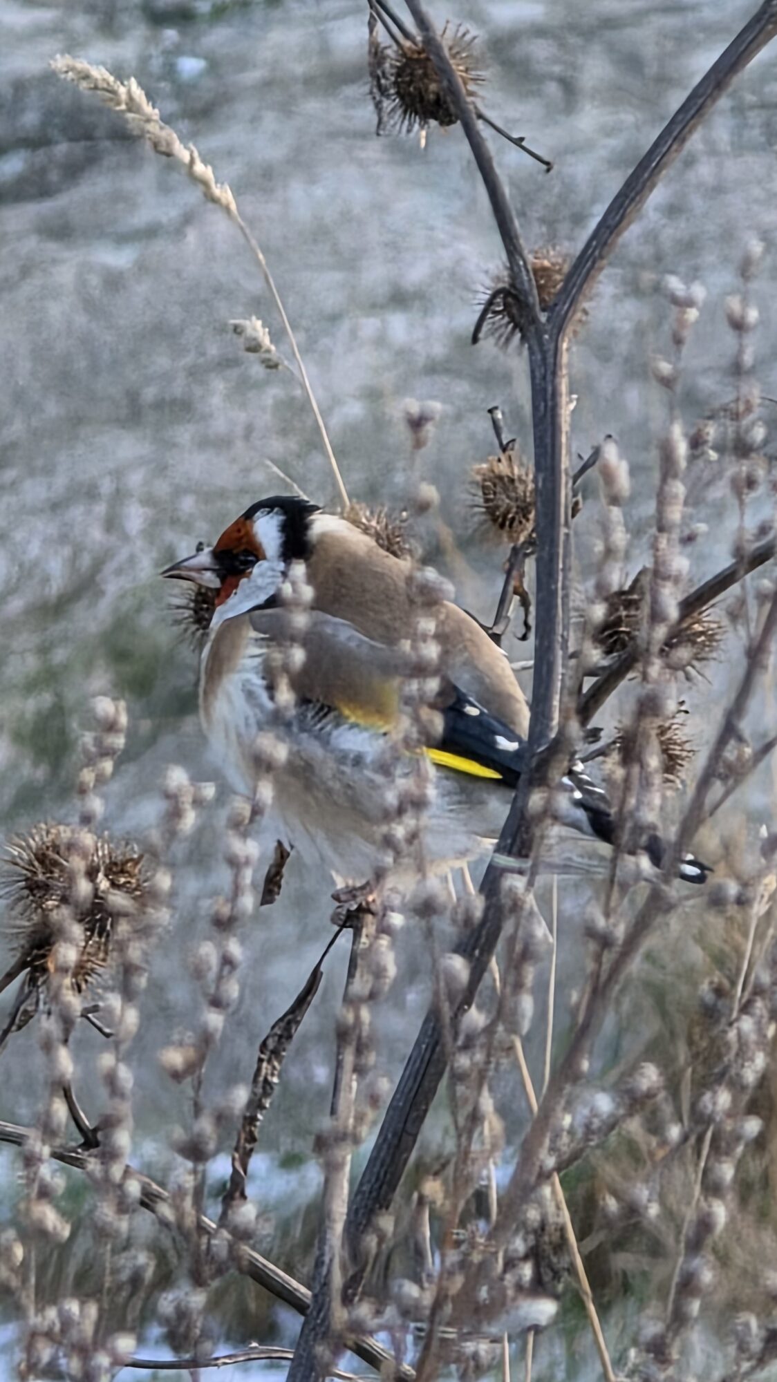 Valokuvaaja: Jukka Veijola