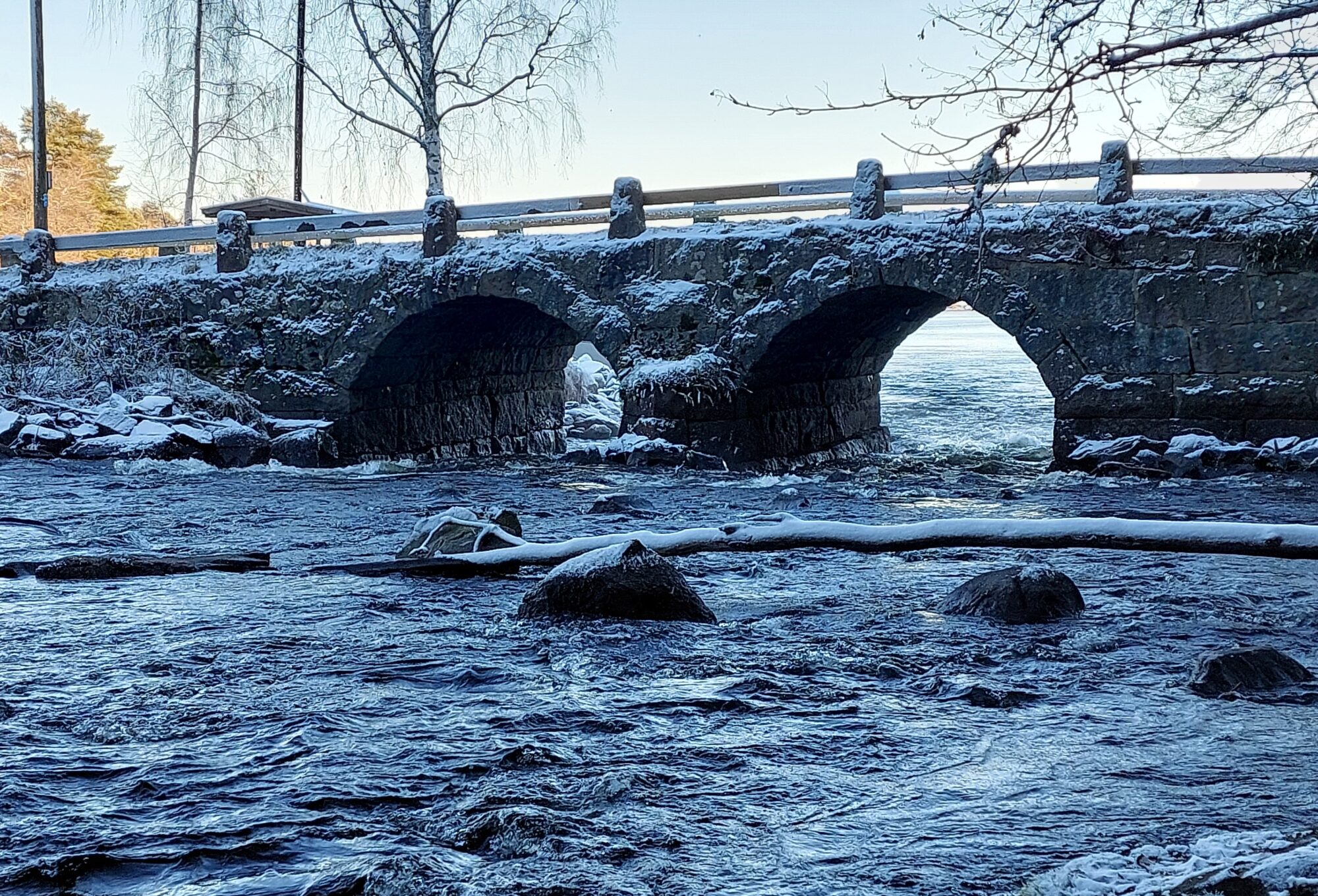 Valokuvaaja: Tarja Naukkarinen