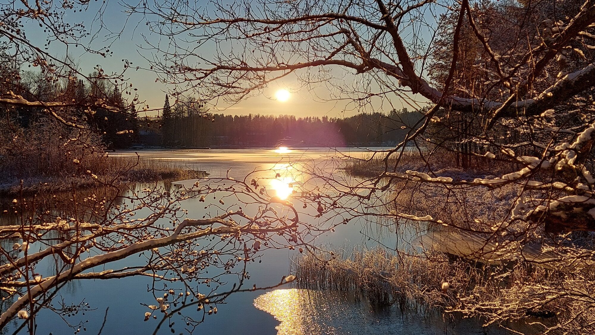 Valokuvaaja: Tarja Naukkarinen
