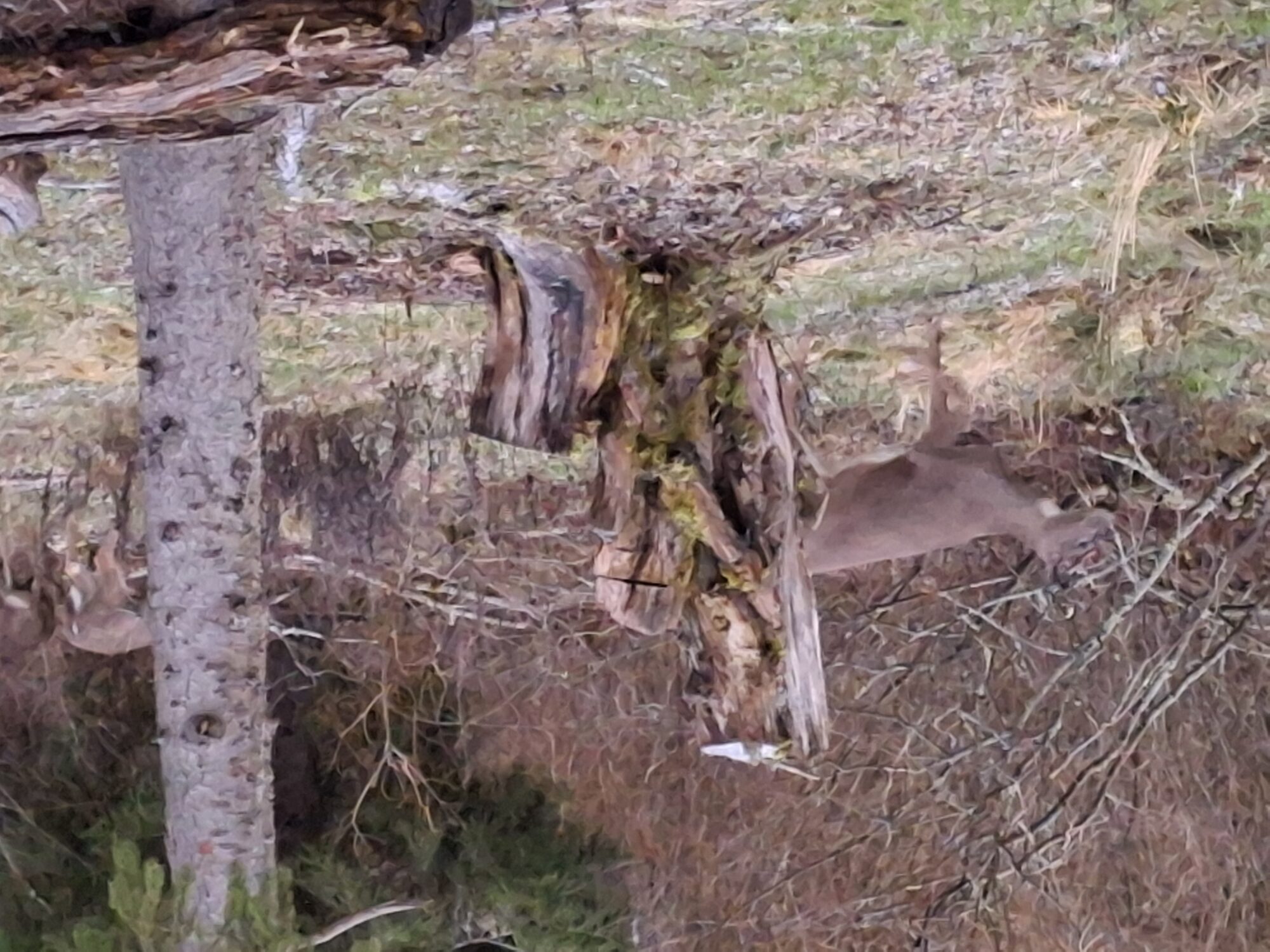 Valokuvaaja: Satu Suuntala