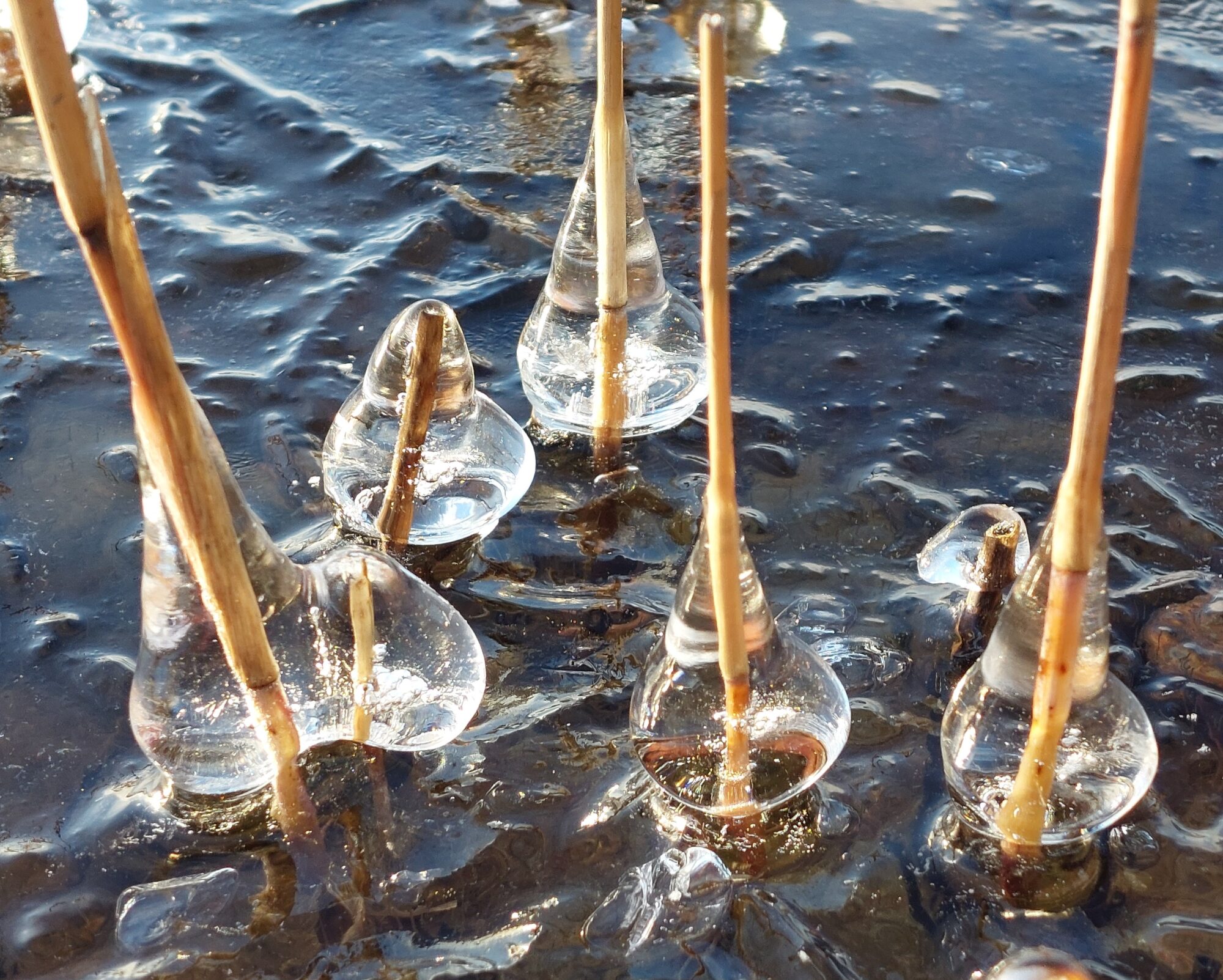 Valokuvaaja: Tarja Naukkarinen