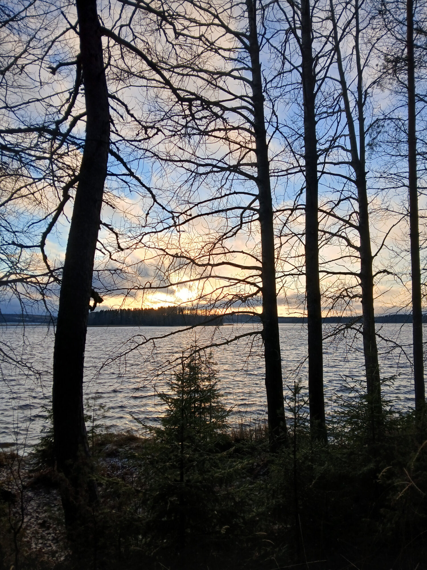 Valokuvaaja: Toni Asikainen