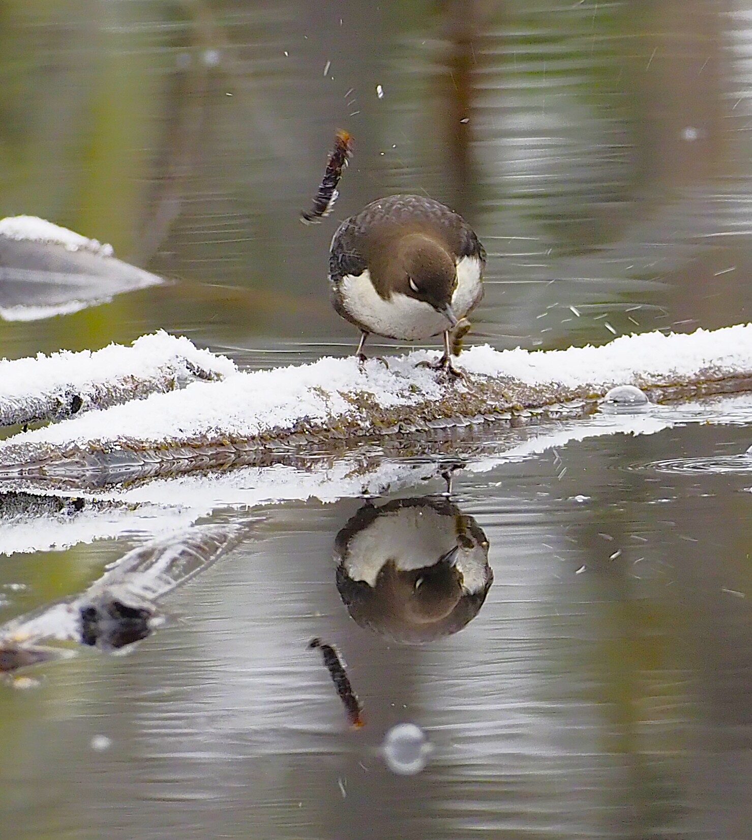 Valokuvaaja: Annikki Kärkkäinen