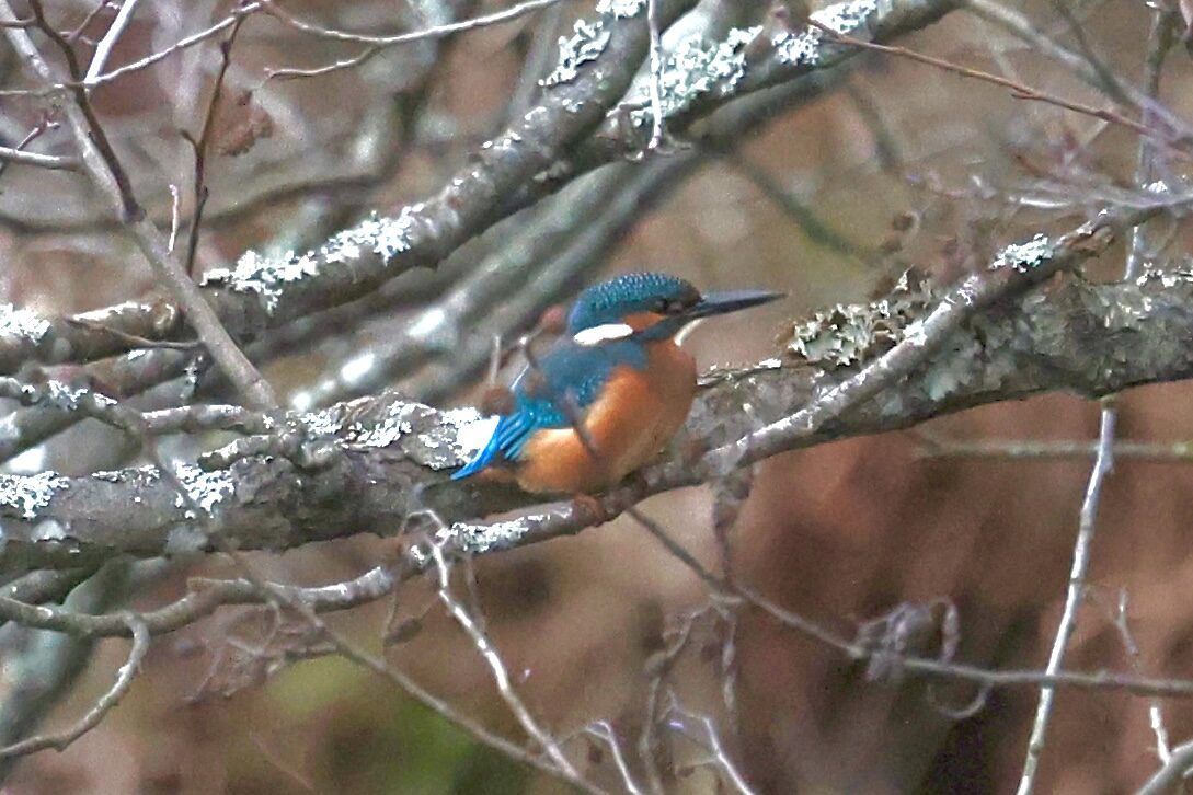 Valokuvaaja: Jukka Henriksson