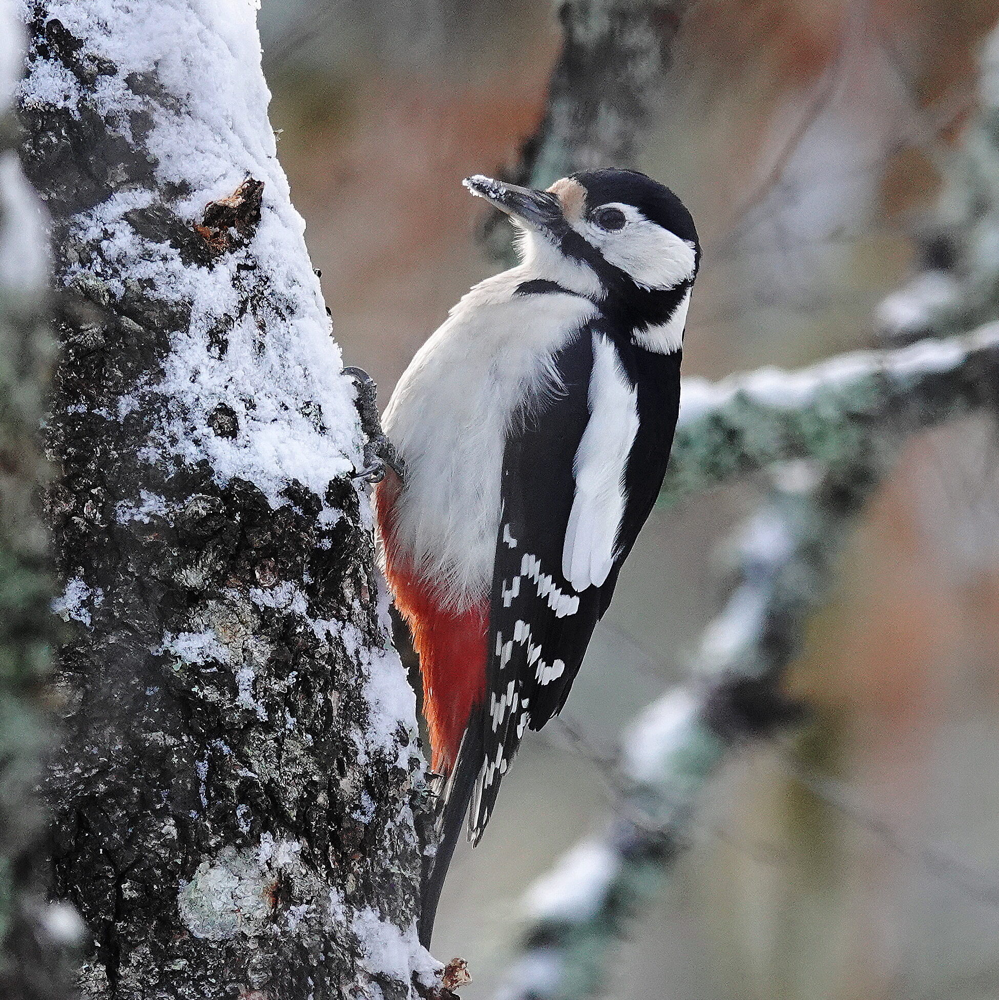 Valokuvaaja: Raija Oksanen