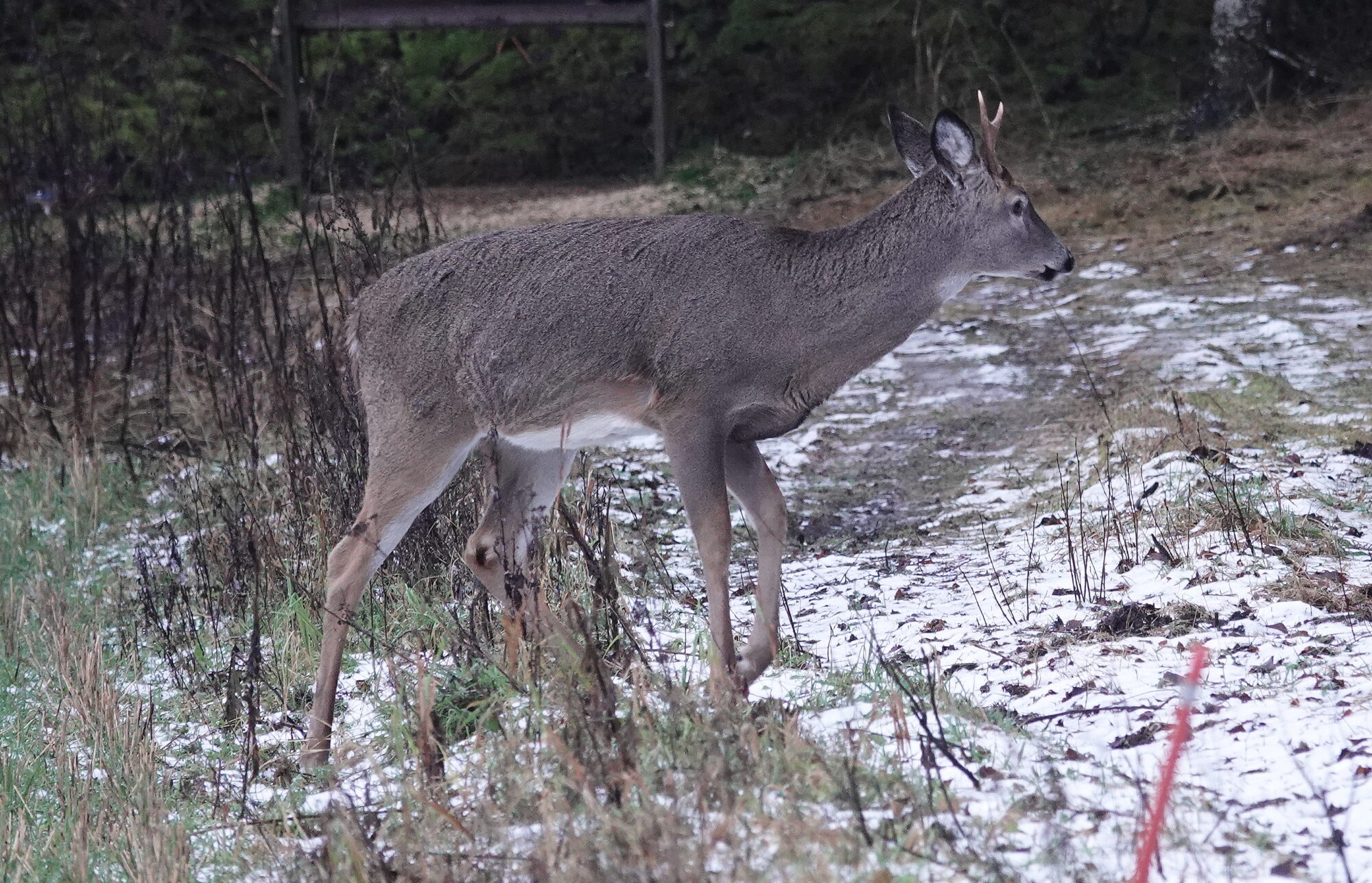 Valokuvaaja: Raija Oksanen