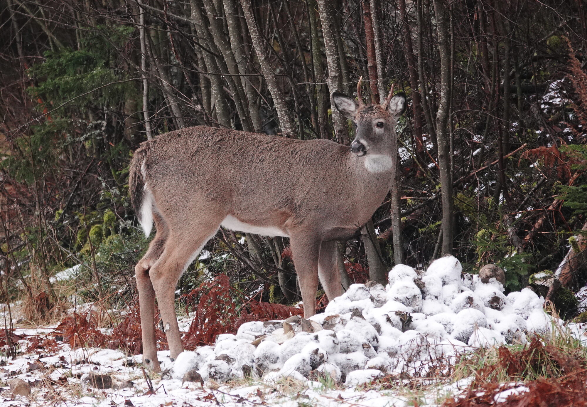 Valokuvaaja: Raija Oksanen