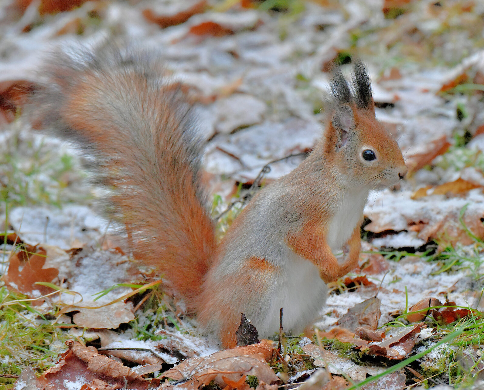 Valokuvaaja: Reijo Juurinen