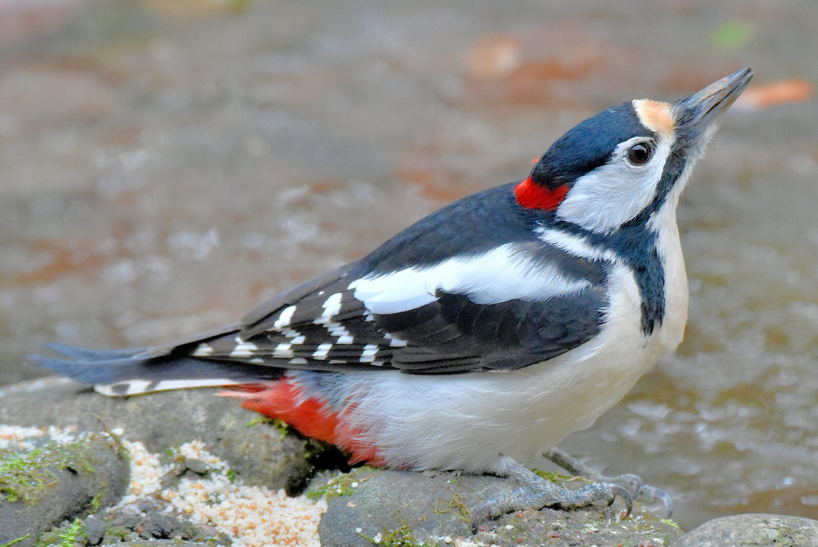 Valokuvaaja: Reijo Juurinen
