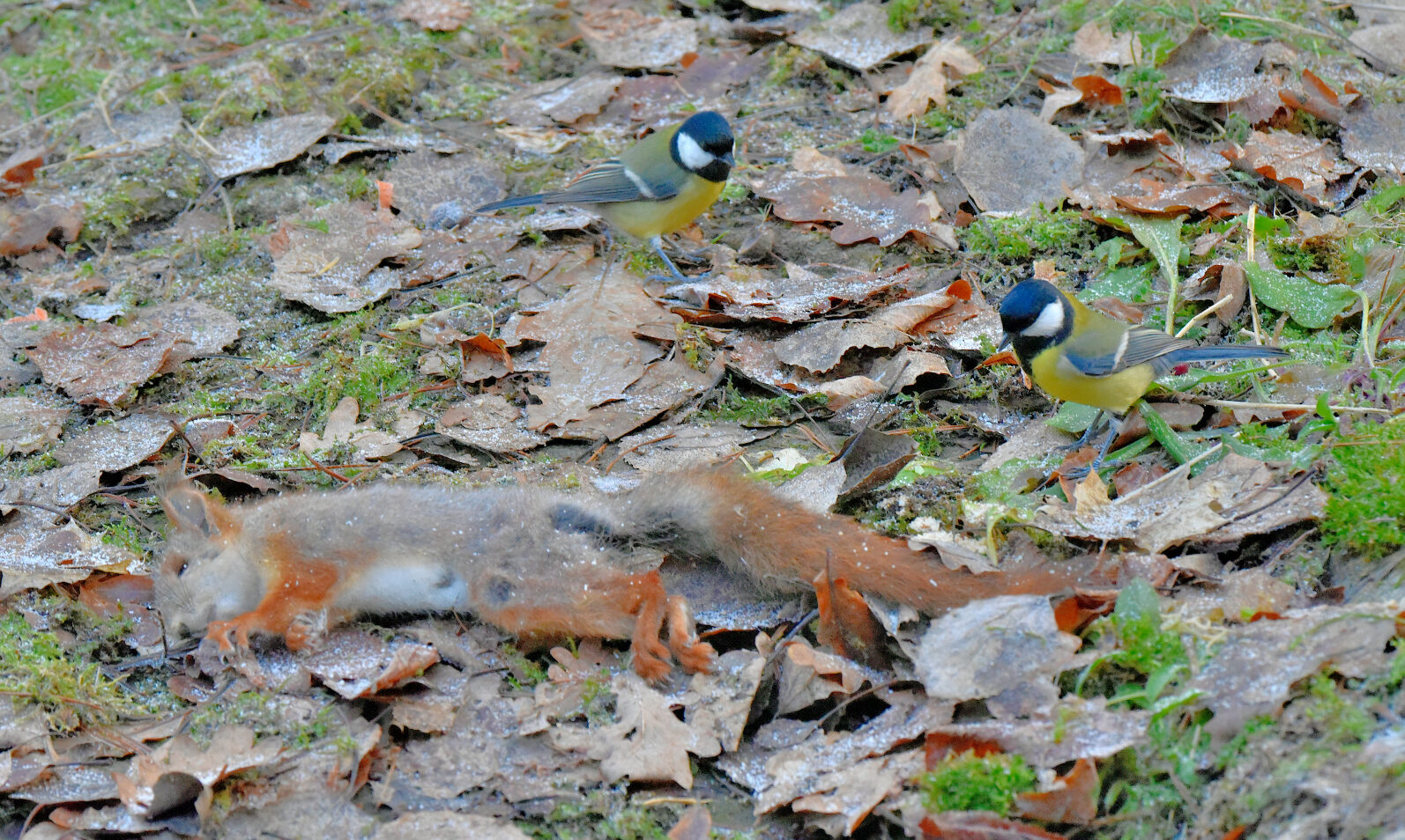 Valokuvaaja: Reijo Juurinen