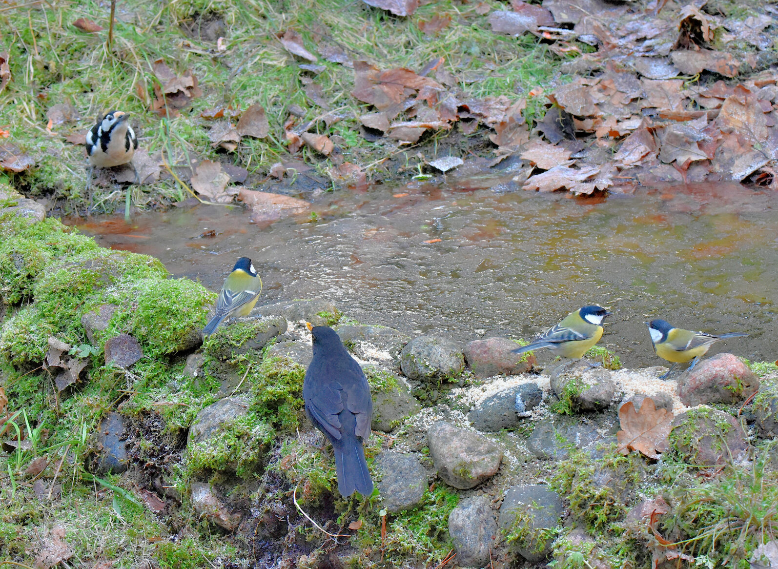 Valokuvaaja: Reijo Juurinen
