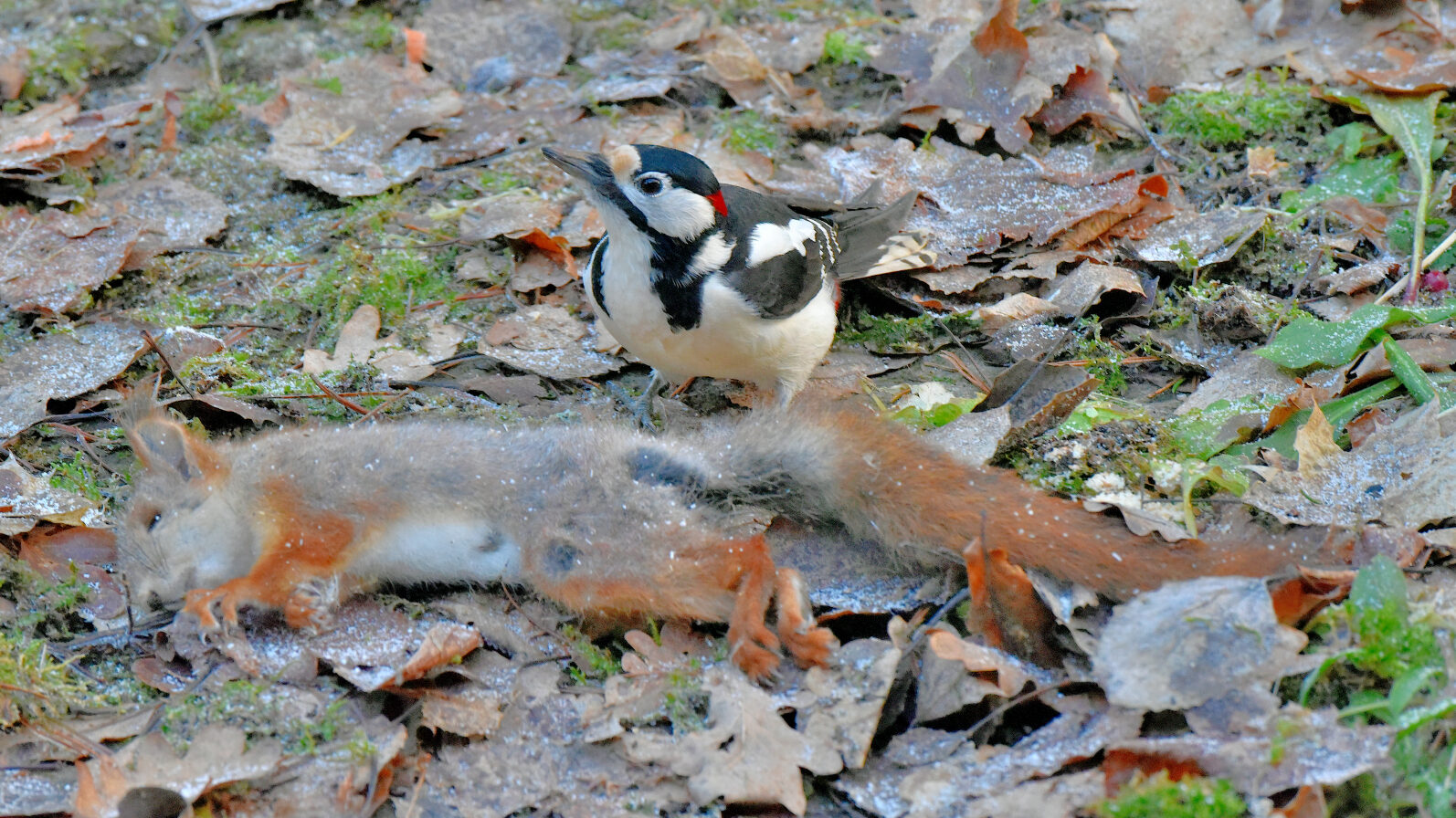 Valokuvaaja: Reijo Juurinen