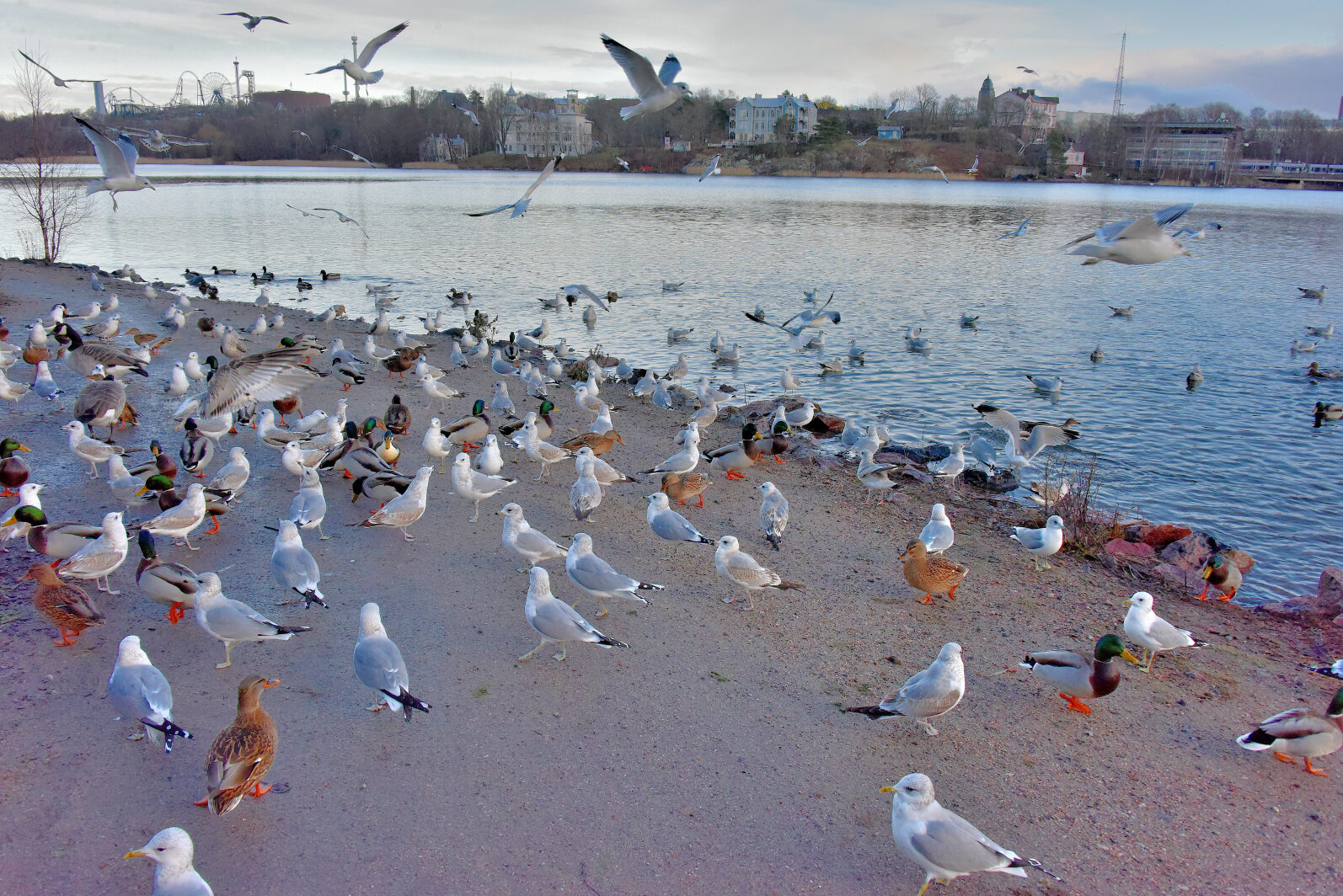 Valokuvaaja: Reijo Juurinen