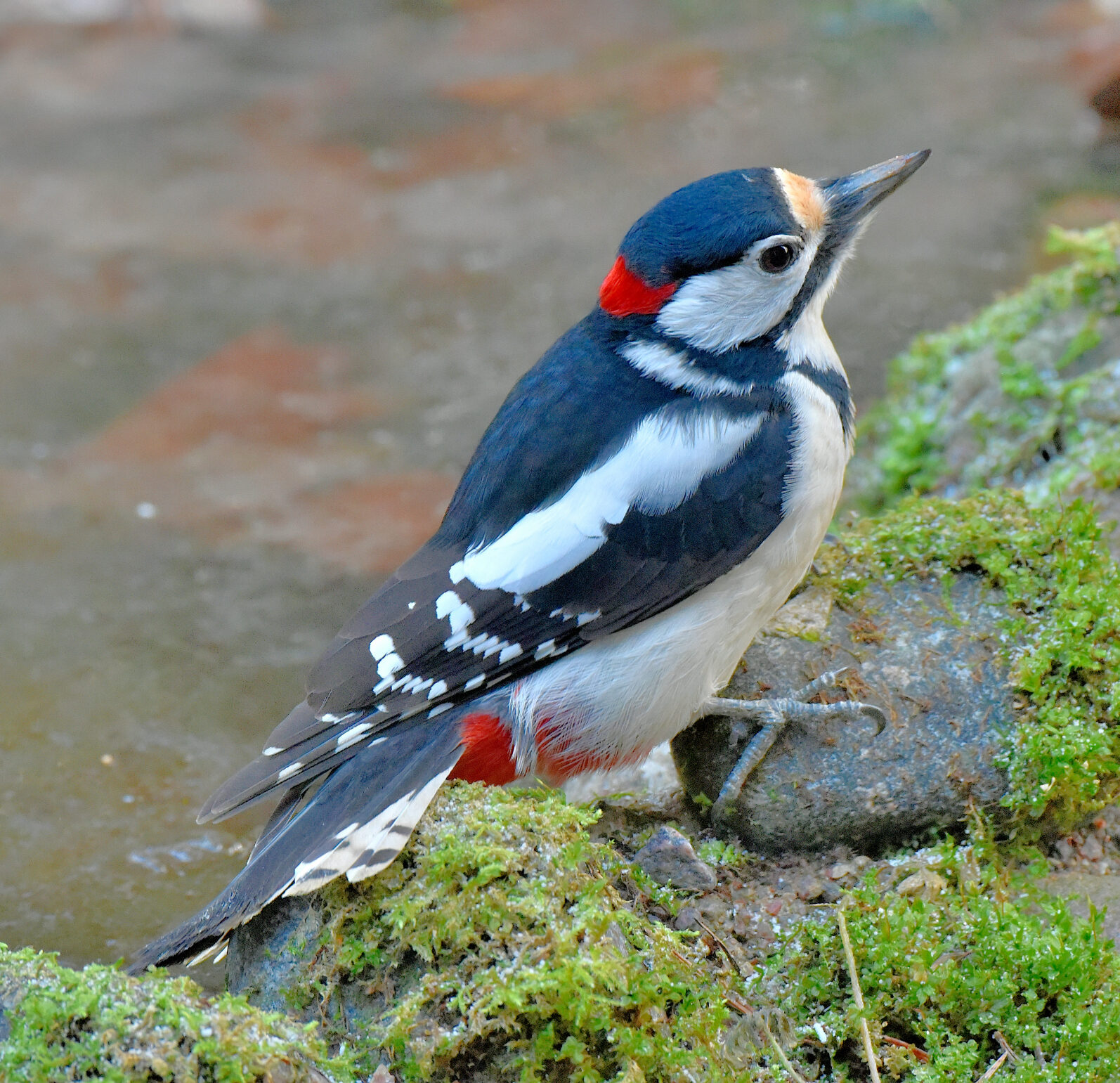 Valokuvaaja: Reijo Juurinen