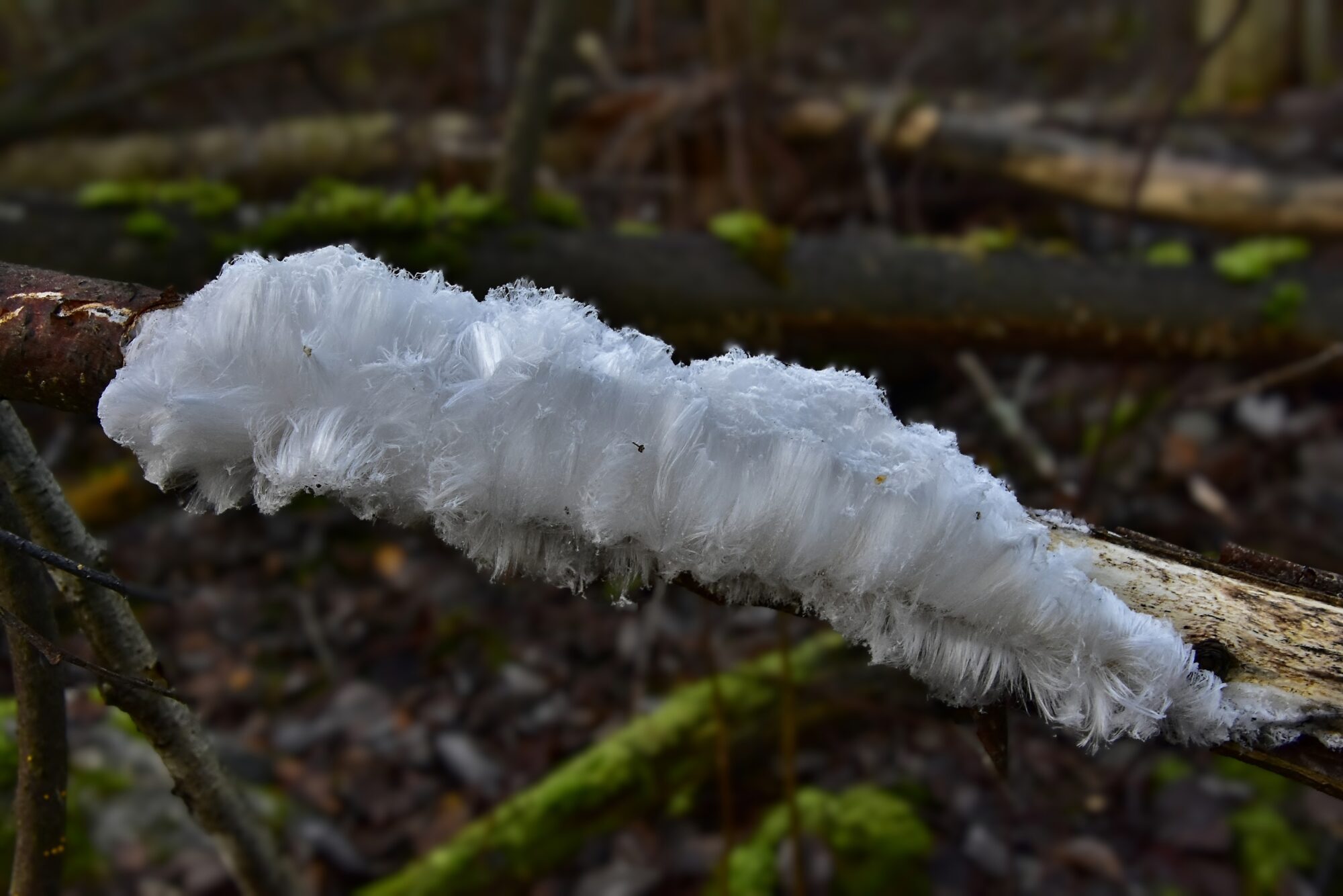 Valokuvaaja: Markku Pelkonen