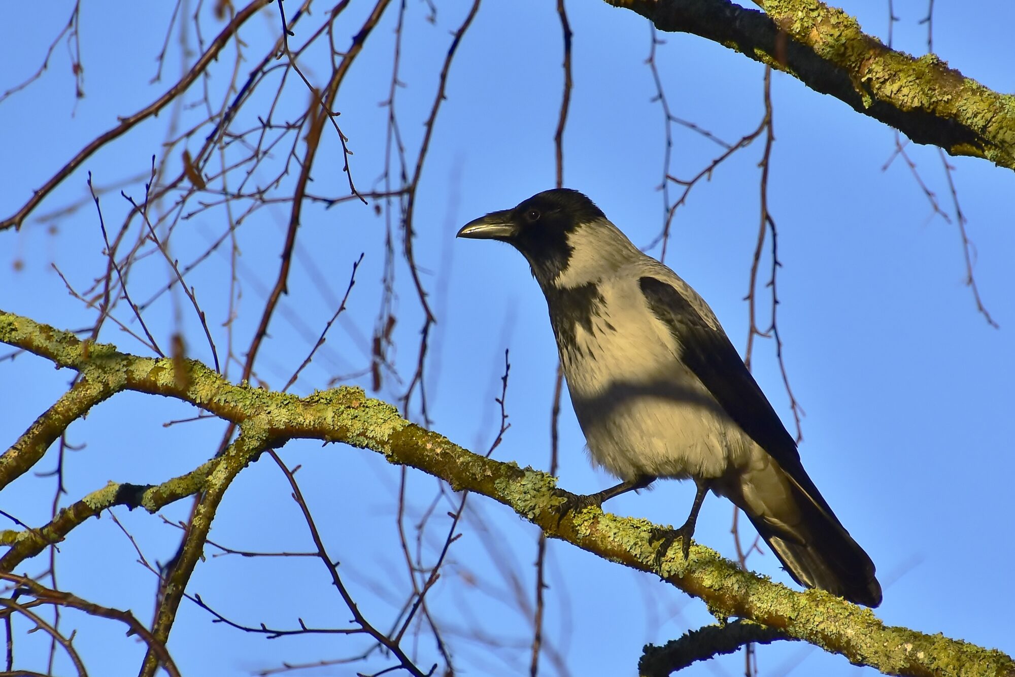Valokuvaaja: Markku Pelkonen