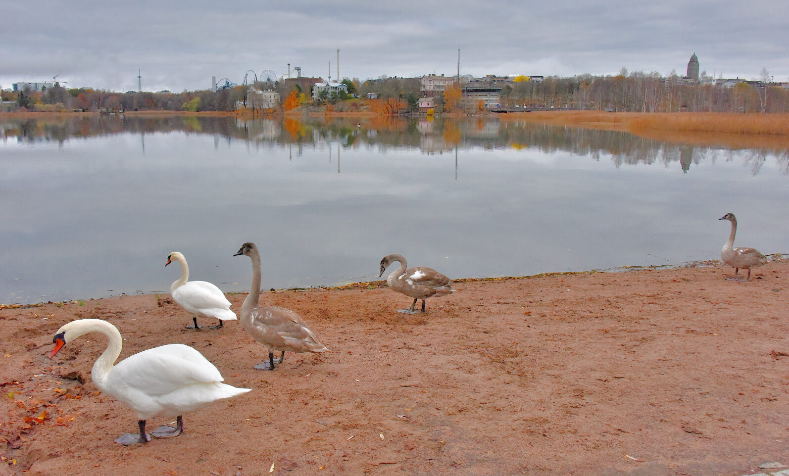 Valokuvaaja: Reijo Juurinen