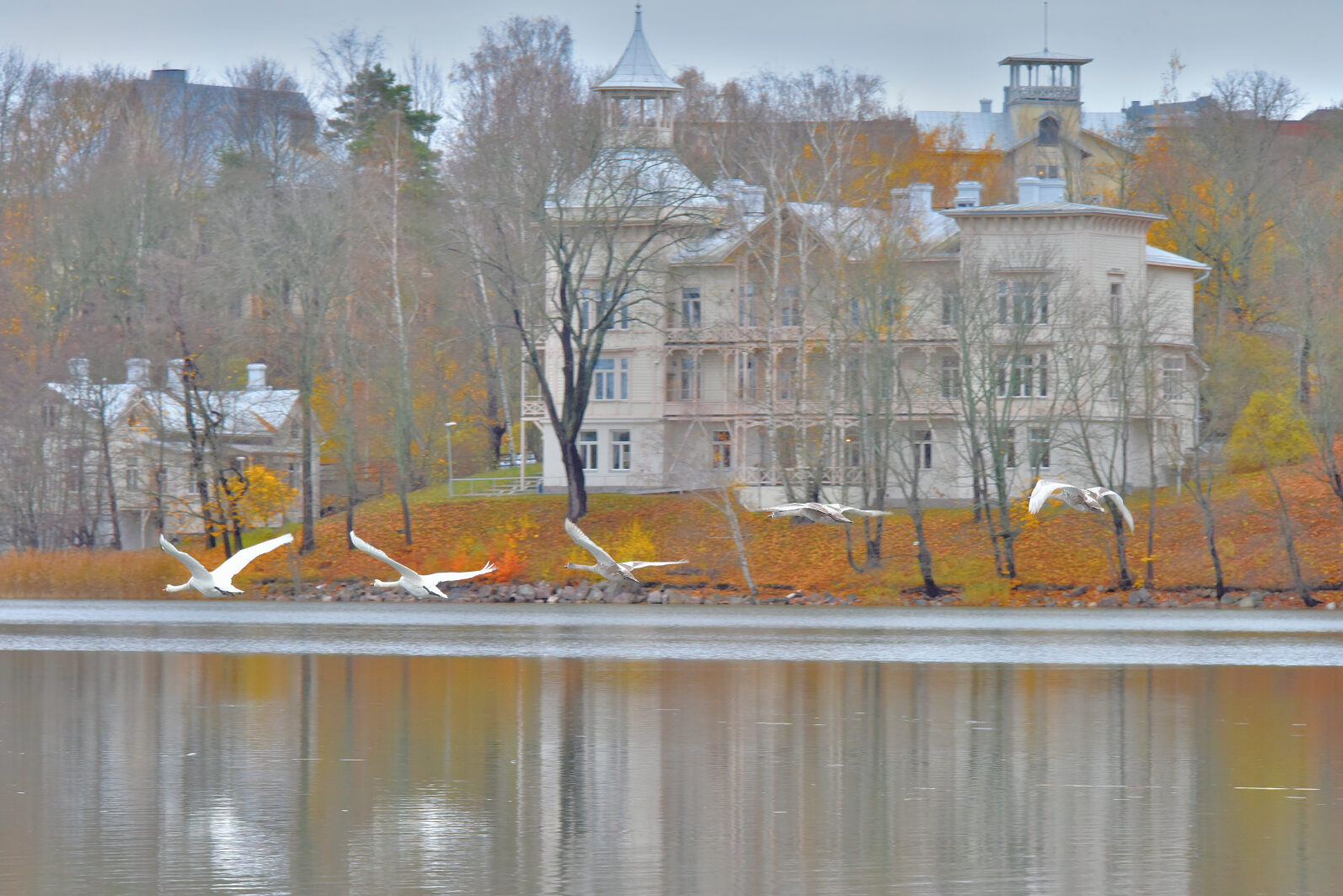 Valokuvaaja: Reijo Juurinen