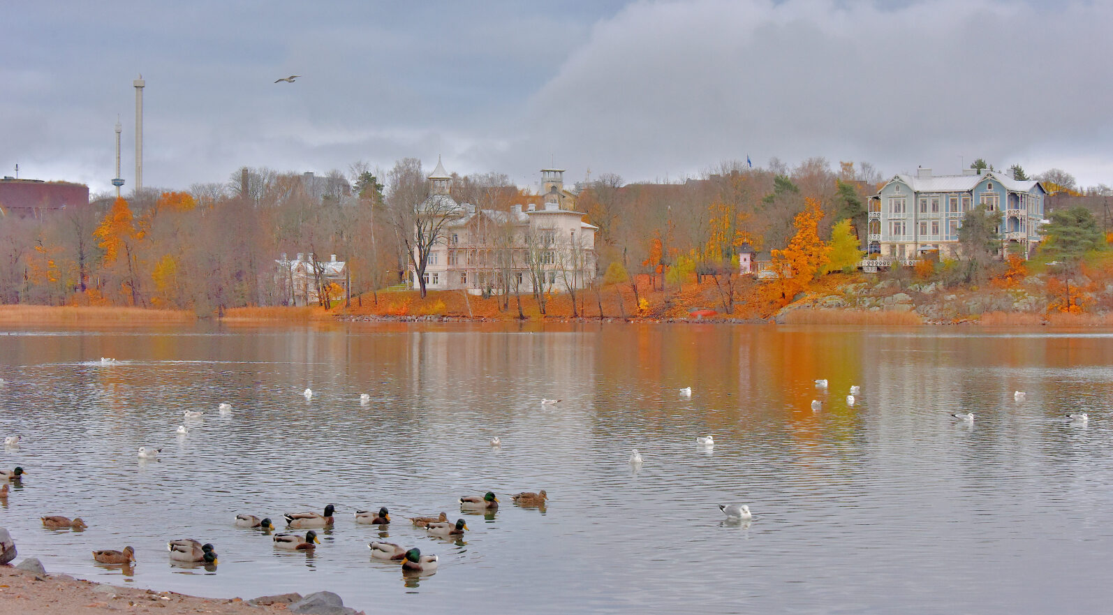 Valokuvaaja: Reijo Juurinen