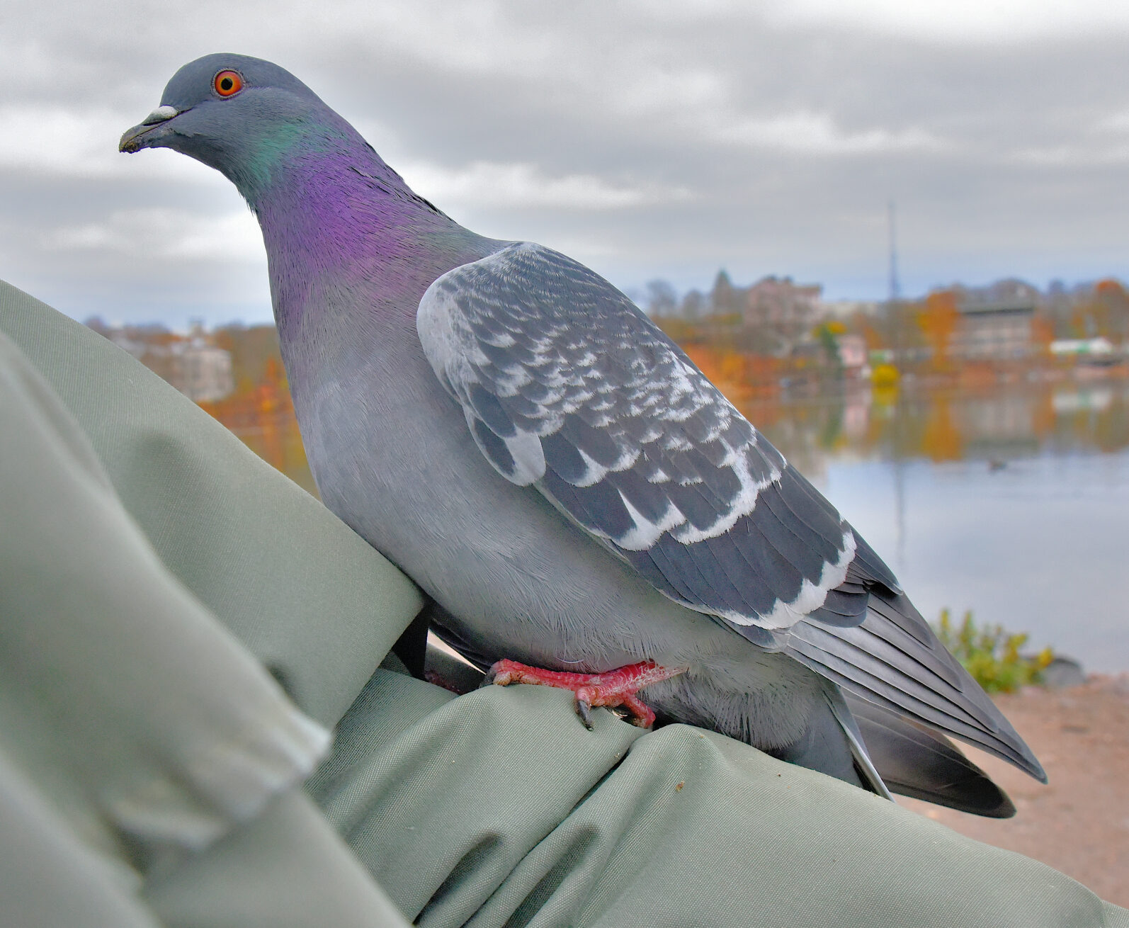 Valokuvaaja: Reijo Juurinen
