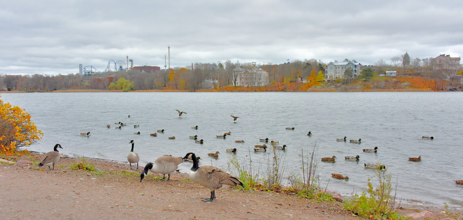 Valokuvaaja: Reijo Juurinen