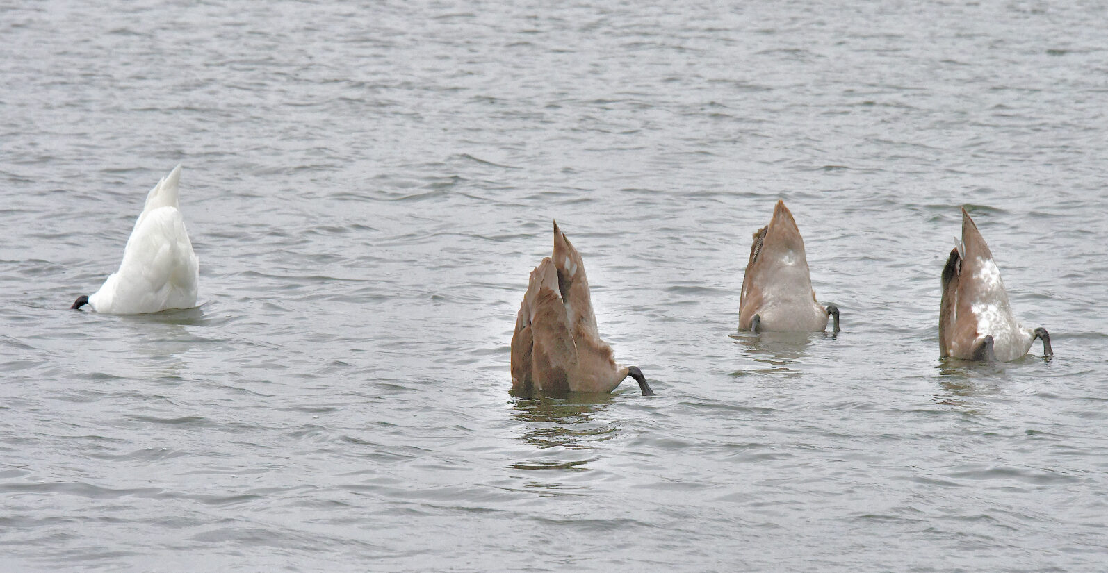 Valokuvaaja: Reijo Juurinen
