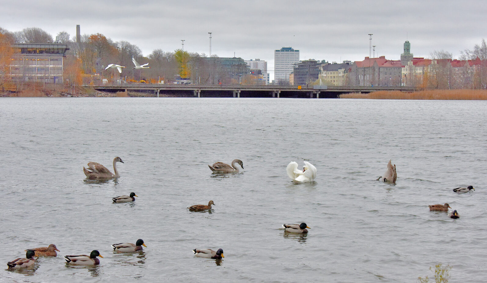 Valokuvaaja: Reijo Juurinen