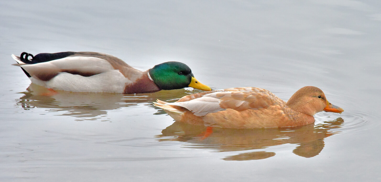 Valokuvaaja: Reijo Juurinen