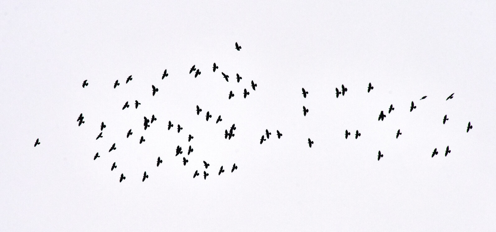 Valokuvaaja: Reijo Juurinen