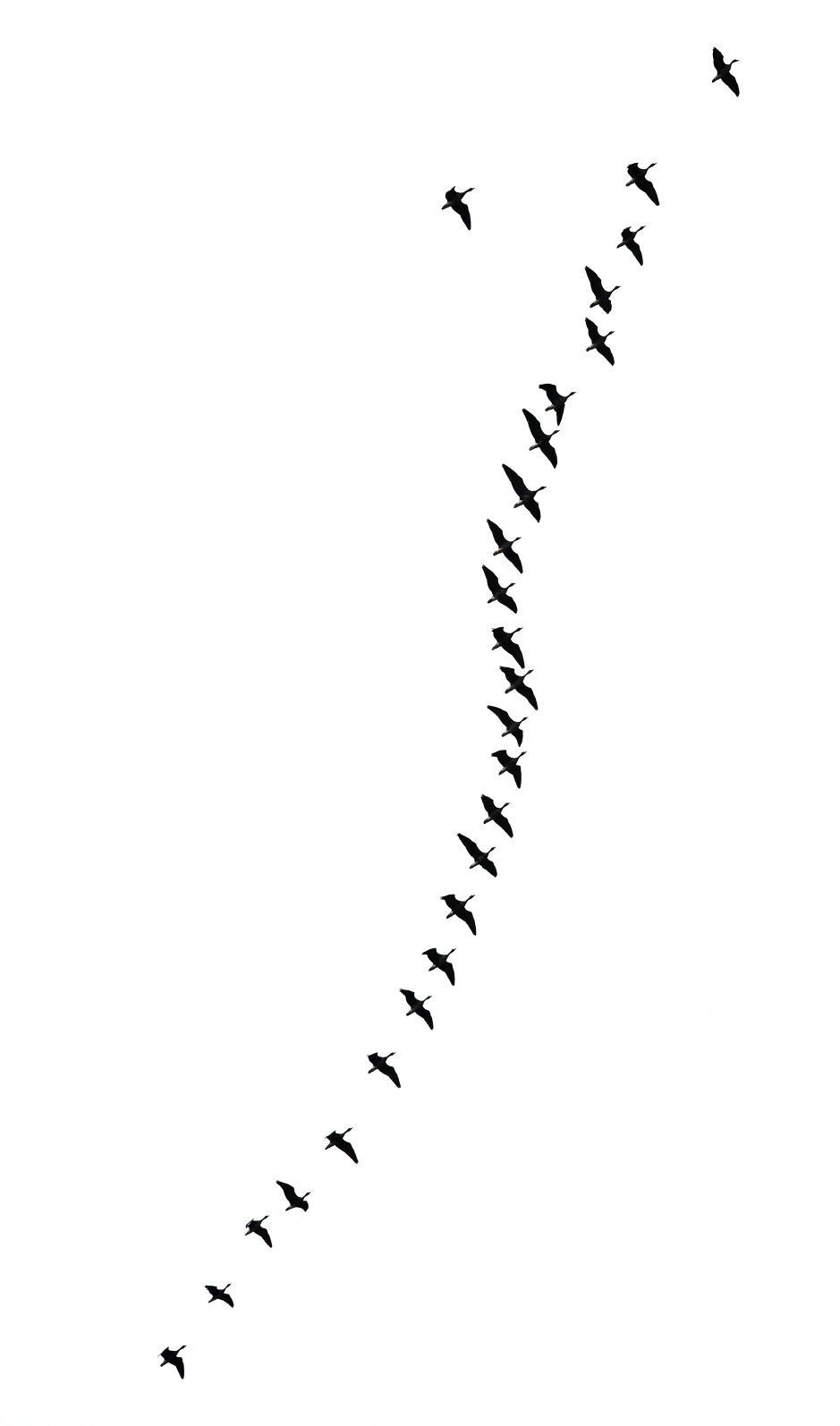 Valokuvaaja: Reijo Juurinen