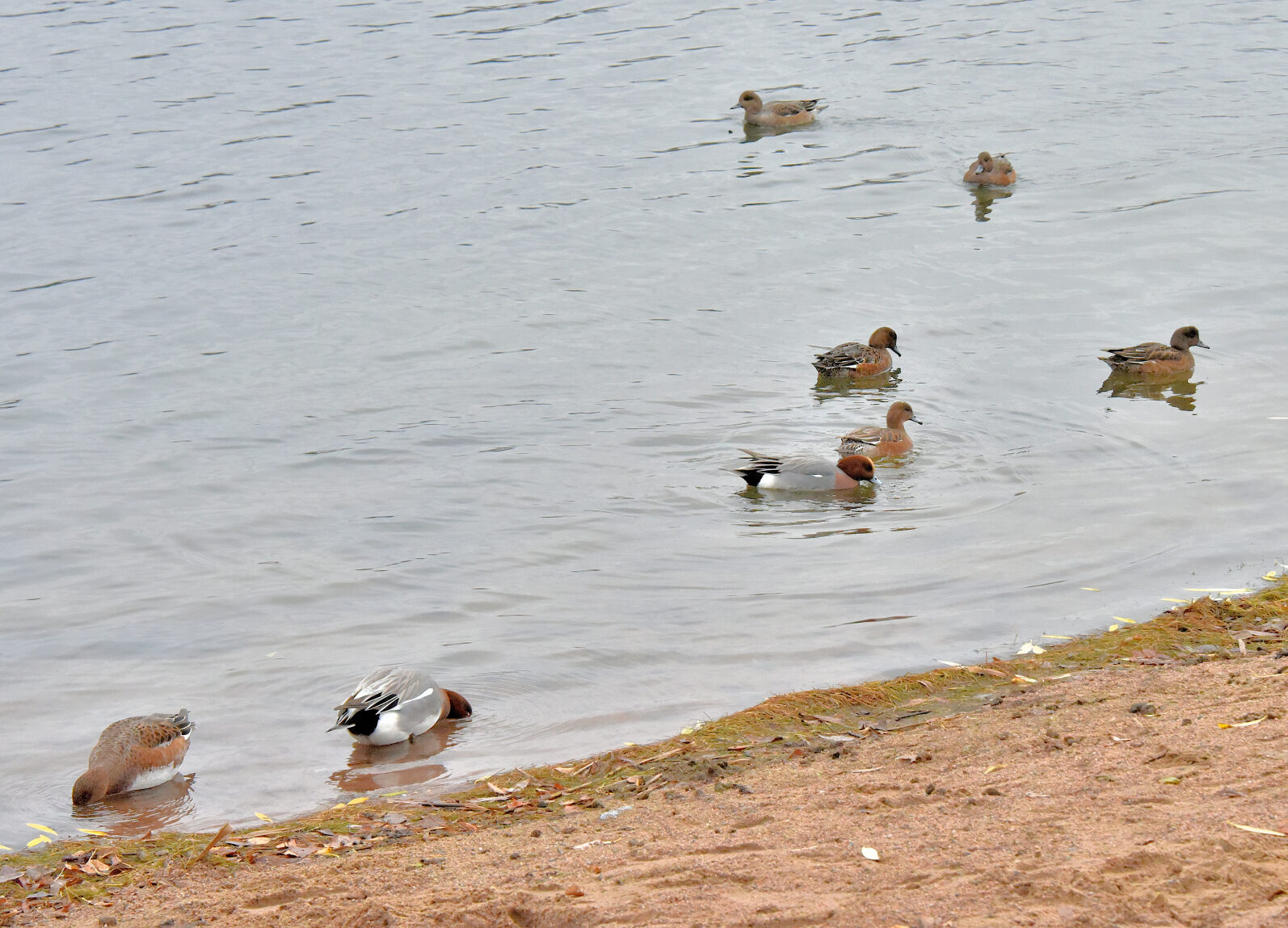 Valokuvaaja: Reijo Juurinen