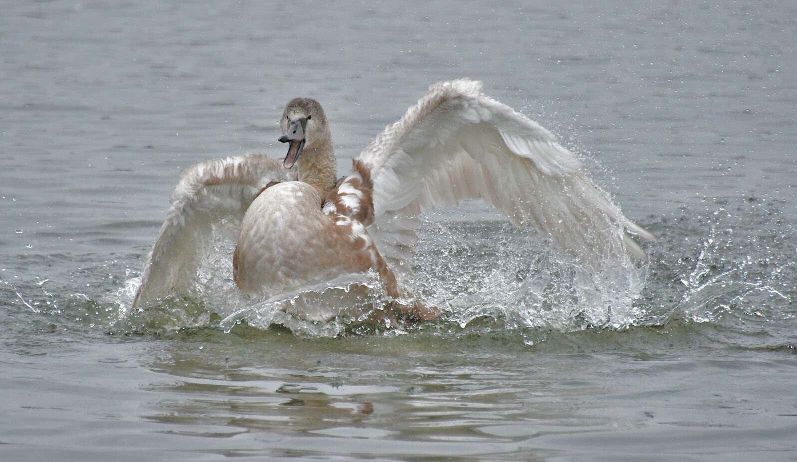 Valokuvaaja: Reijo Juurinen