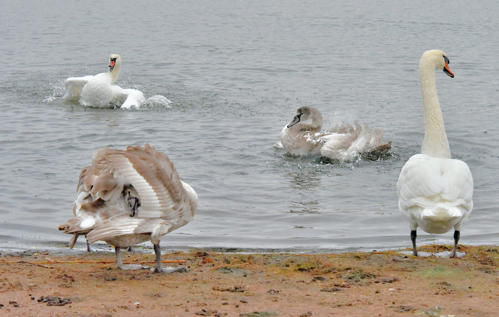 Valokuvaaja: Reijo Juurinen