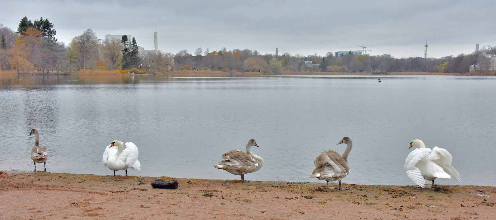 Valokuvaaja: Reijo Juurinen