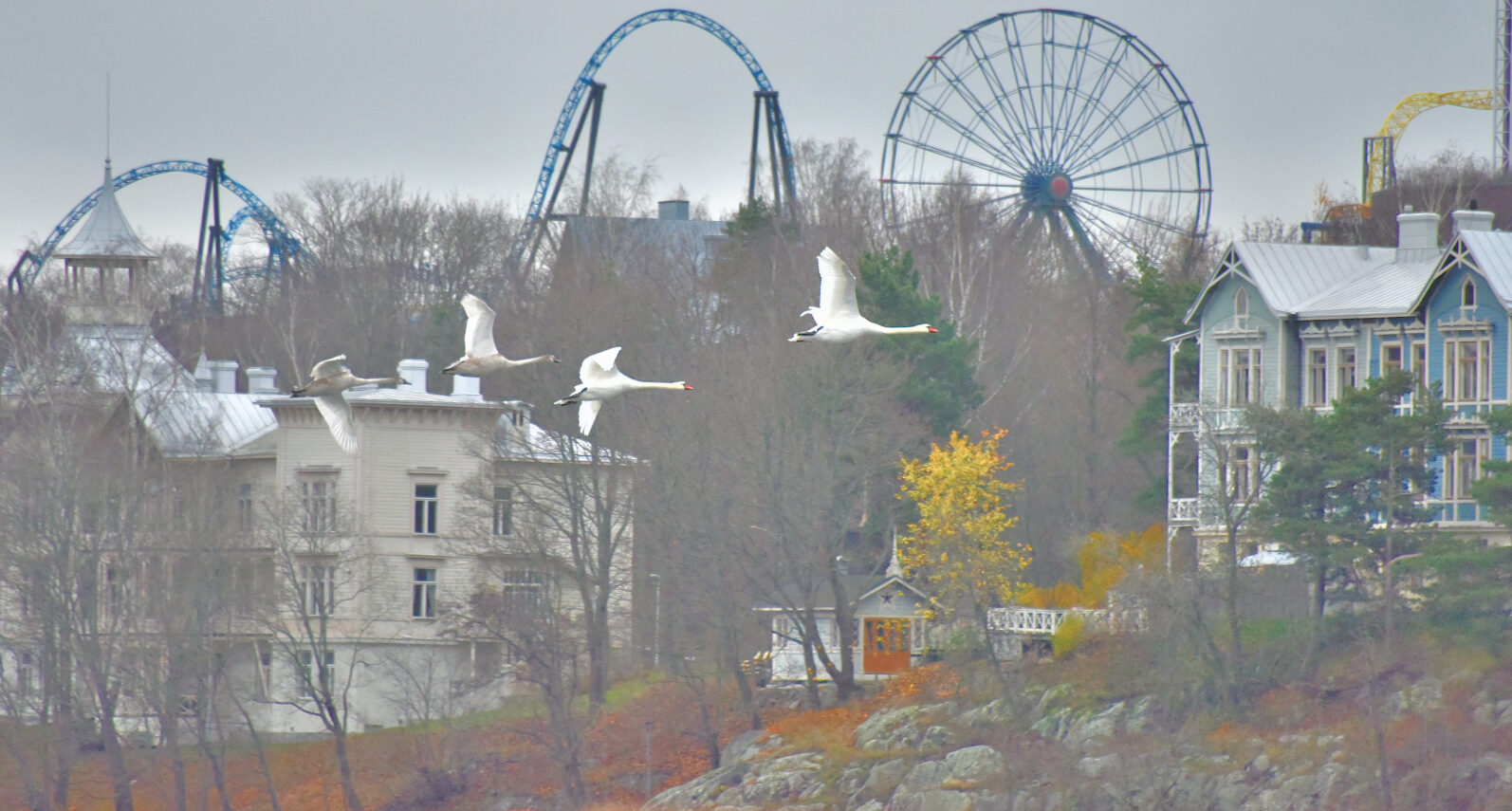 Valokuvaaja: Reijo Juurinen