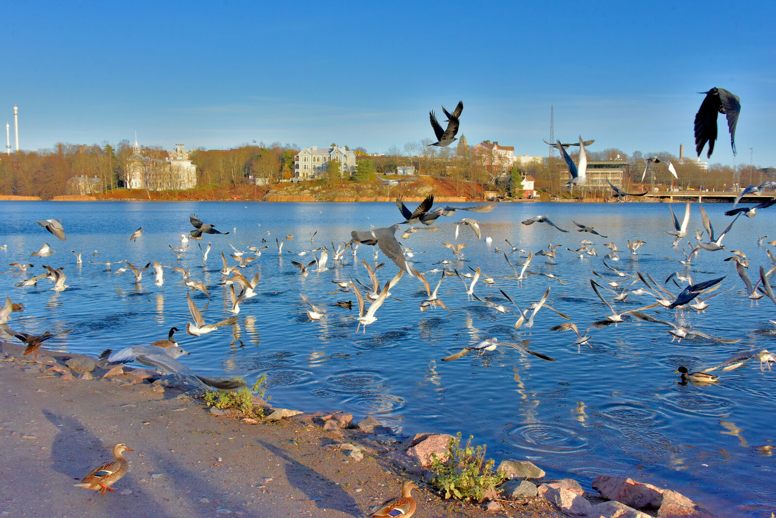 Valokuvaaja: Reijo Juurinen
