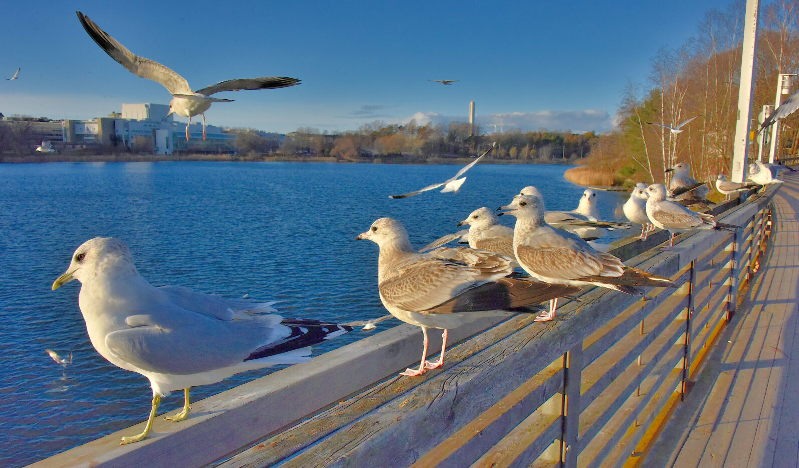 Valokuvaaja: Reijo Juurinen