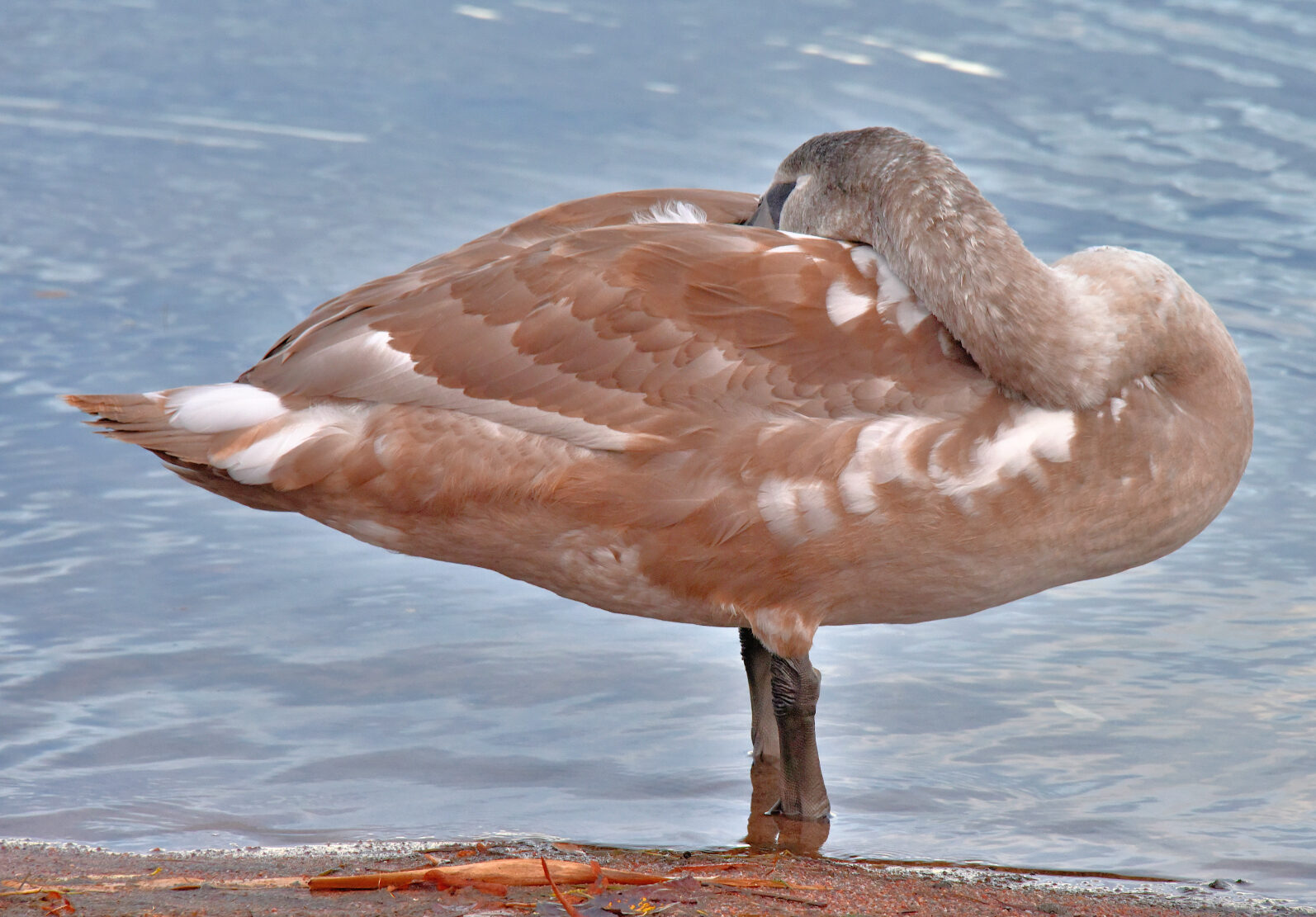 Valokuvaaja: Reijo Juurinen