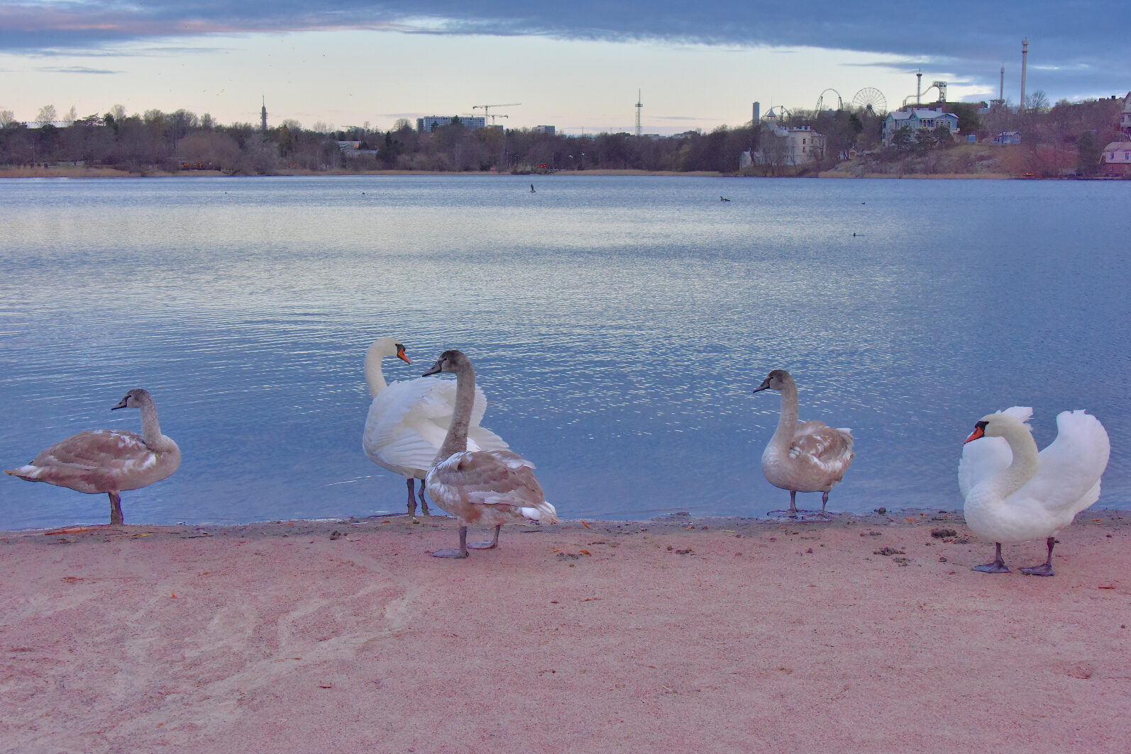 Valokuvaaja: Reijo Juurinen