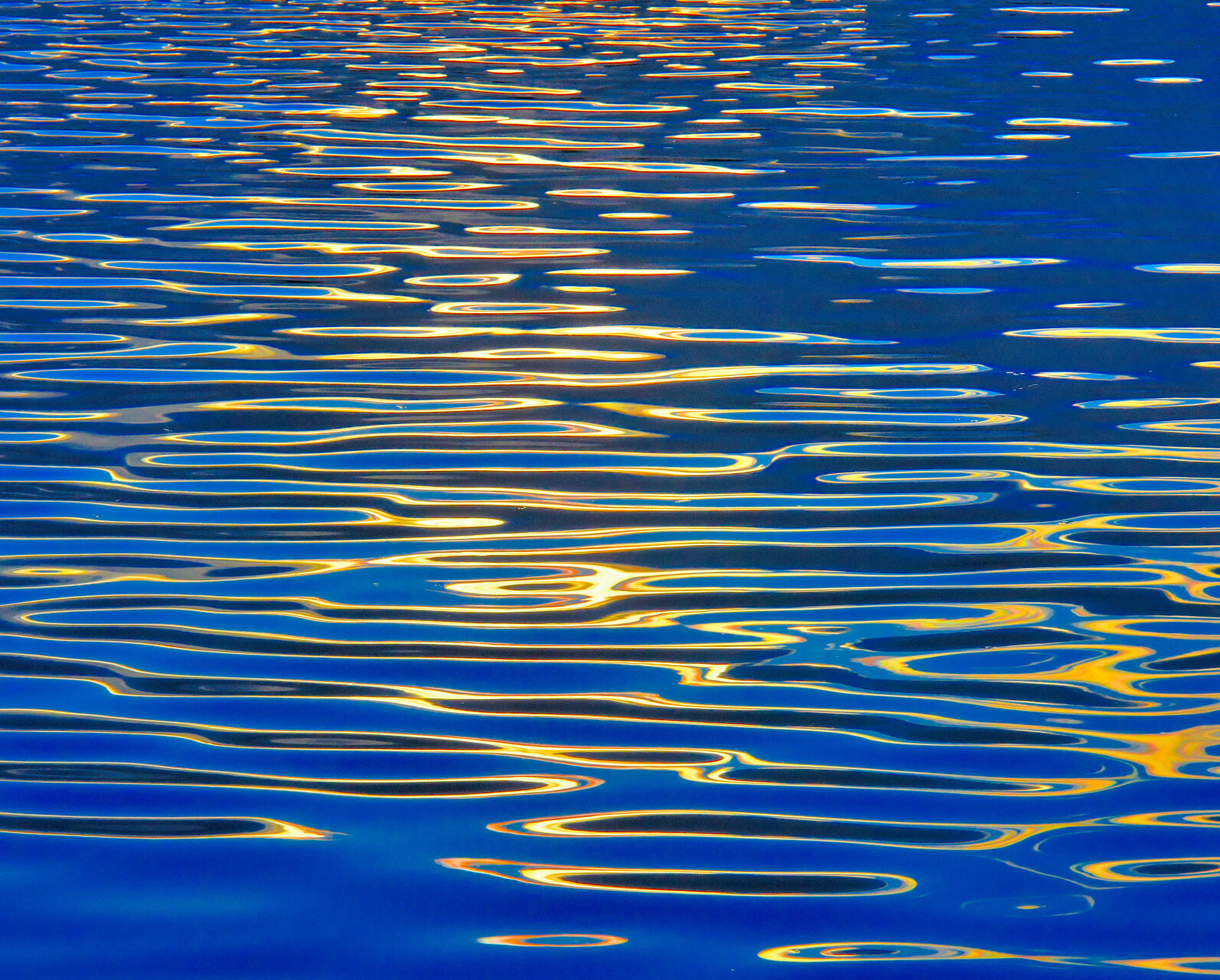 Valokuvaaja: Reijo Juurinen