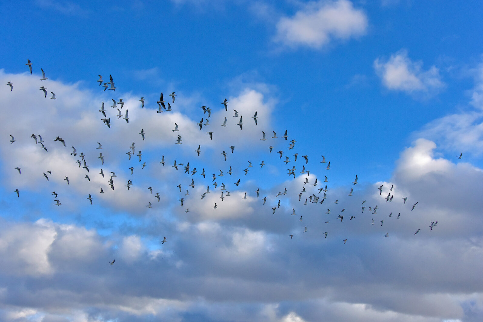 Valokuvaaja: Reijo Juurinen