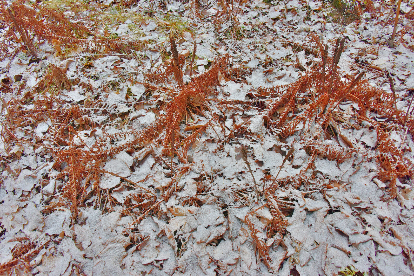 Valokuvaaja: Reijo Juurinen