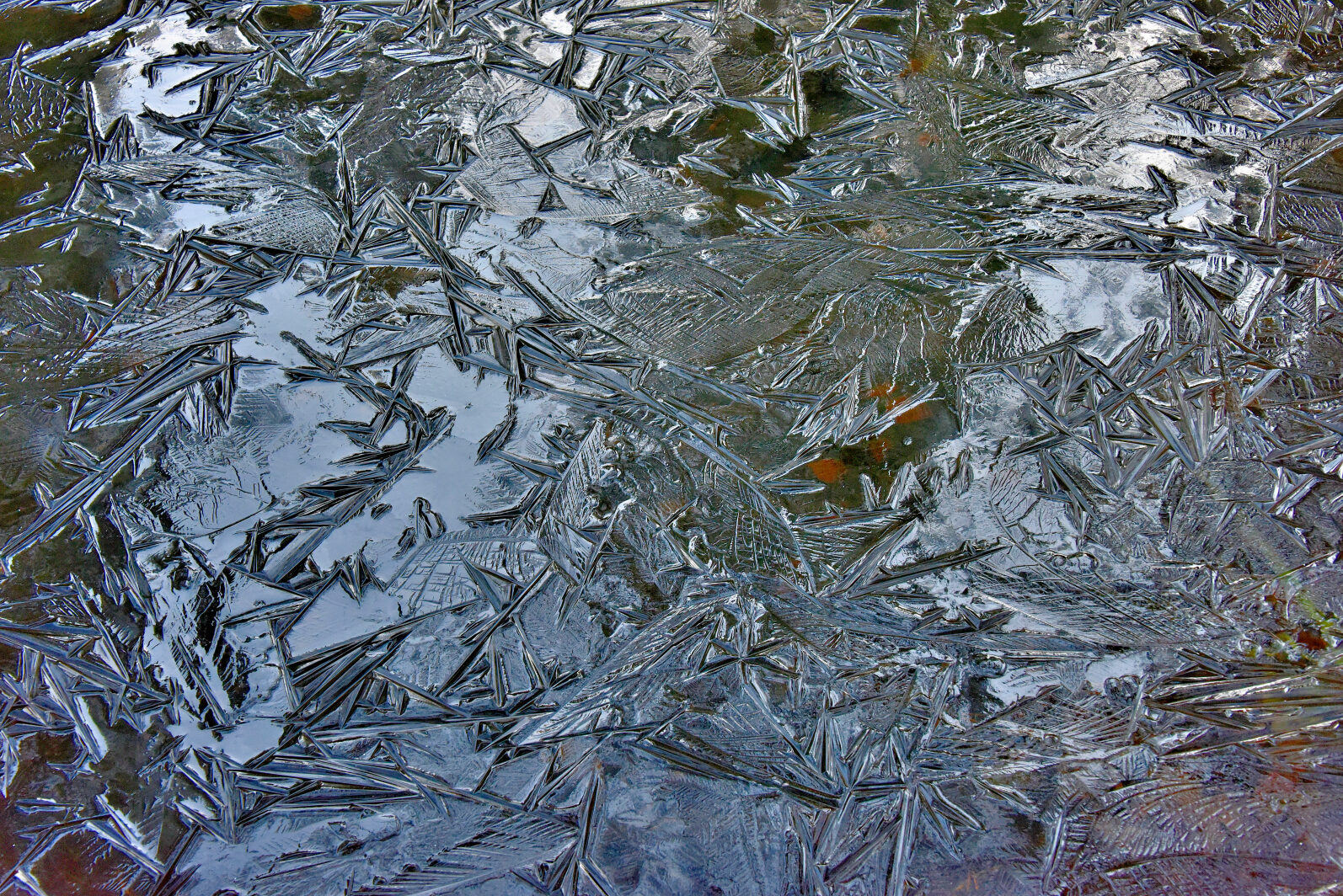 Valokuvaaja: Reijo Juurinen