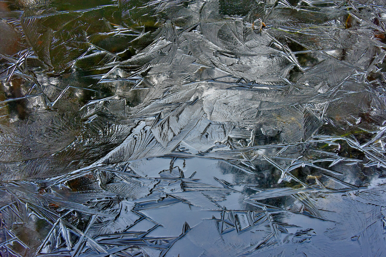 Valokuvaaja: Reijo Juurinen
